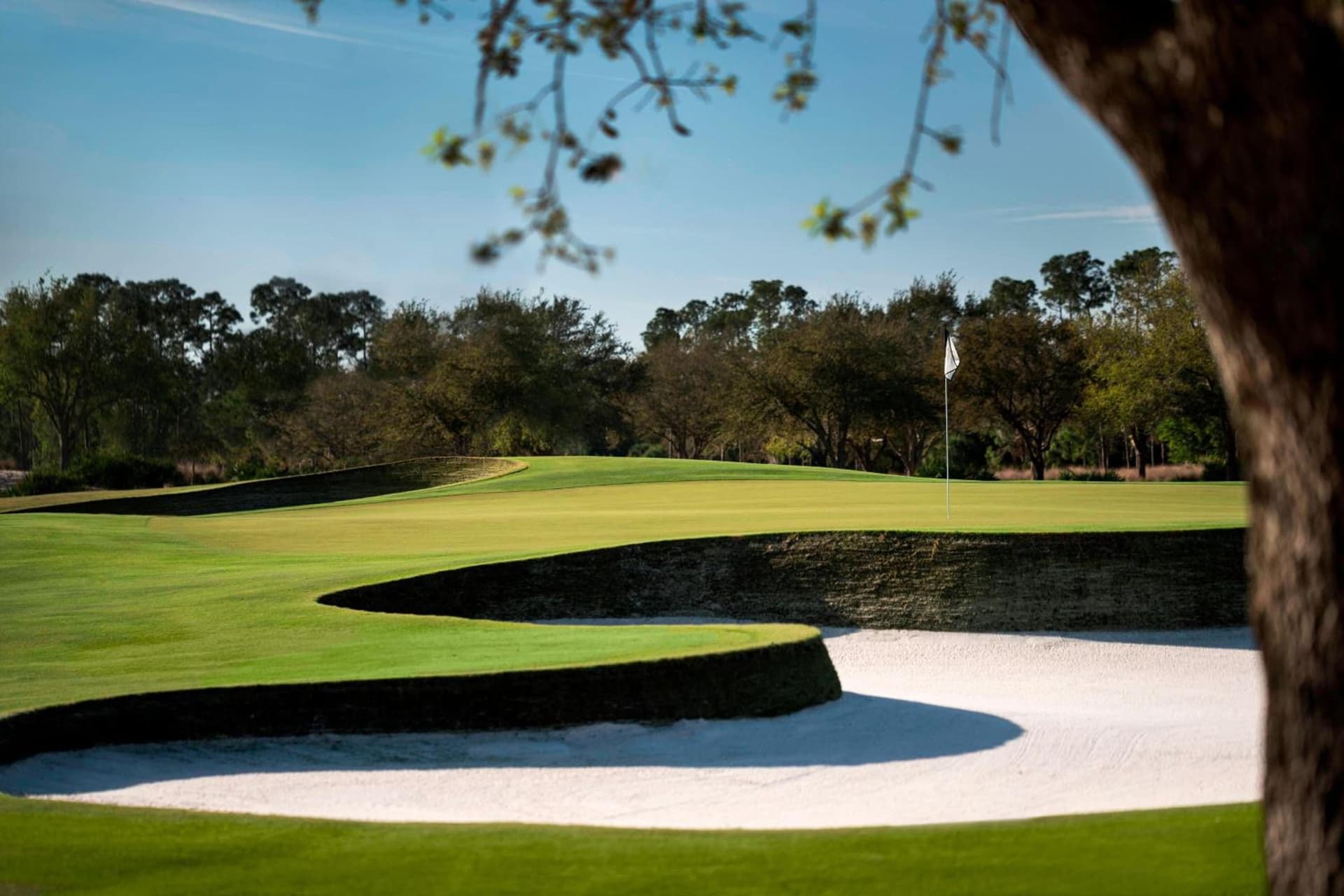The Ritz-Carlton Naples, Tiburon gallery photo in Naples, FL — image 22