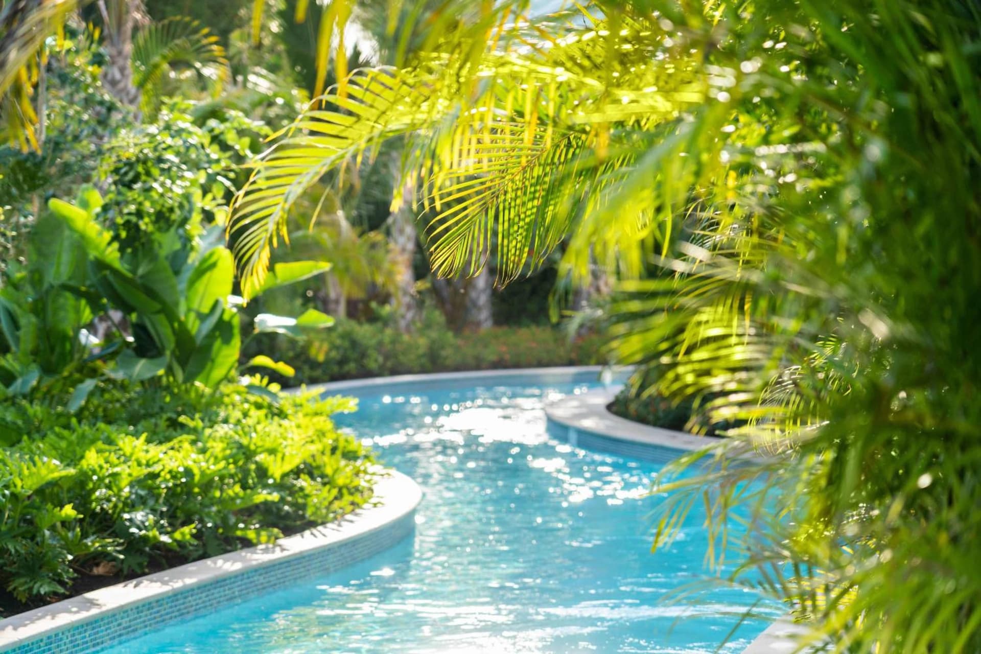 The Ritz-Carlton Naples, Tiburon gallery photo in Naples, FL — image 27