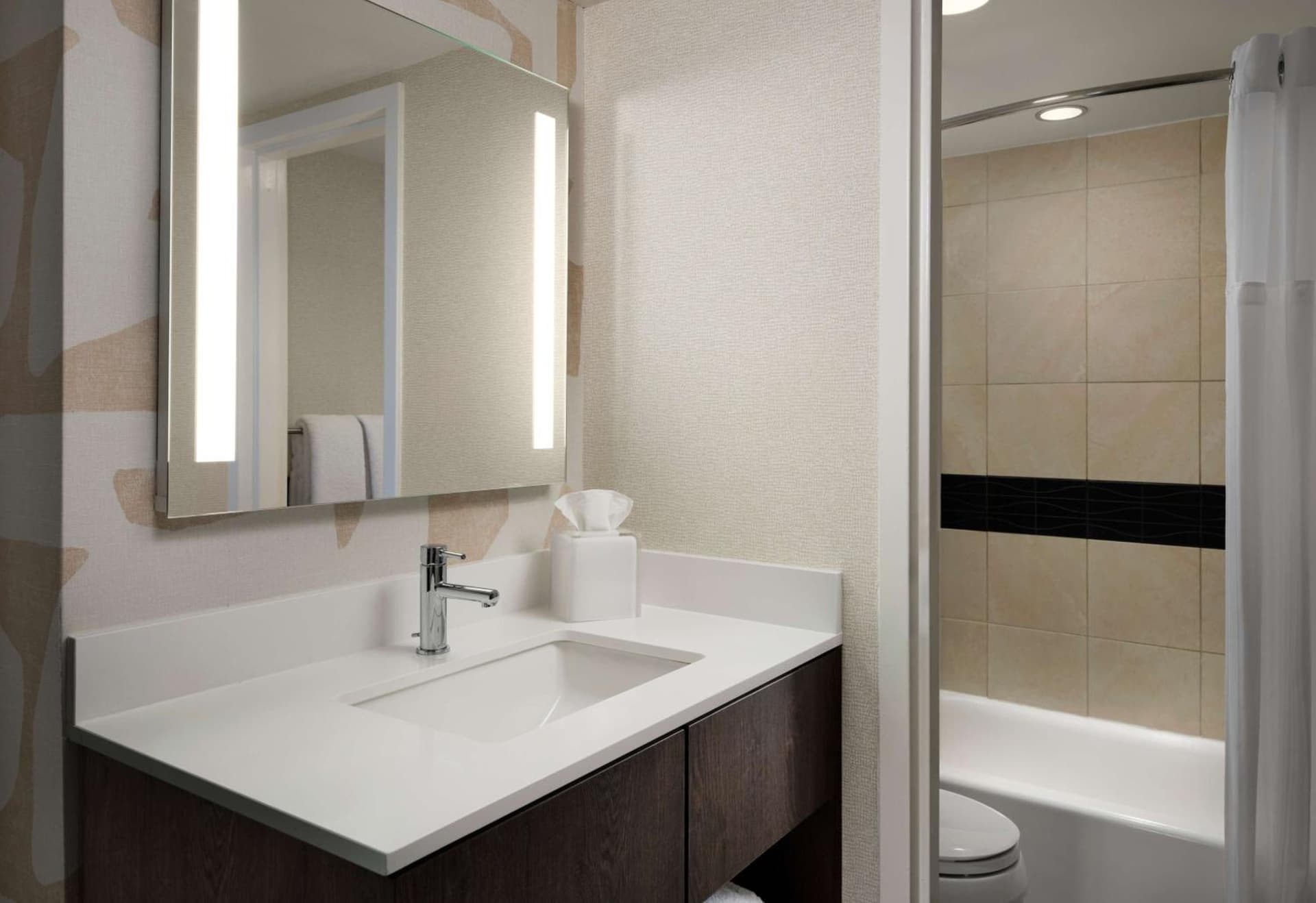 Sonesta ES Suites Chicago Downtown Magnificent Mile Medical property views in Chicago, IL — gallery photo 3