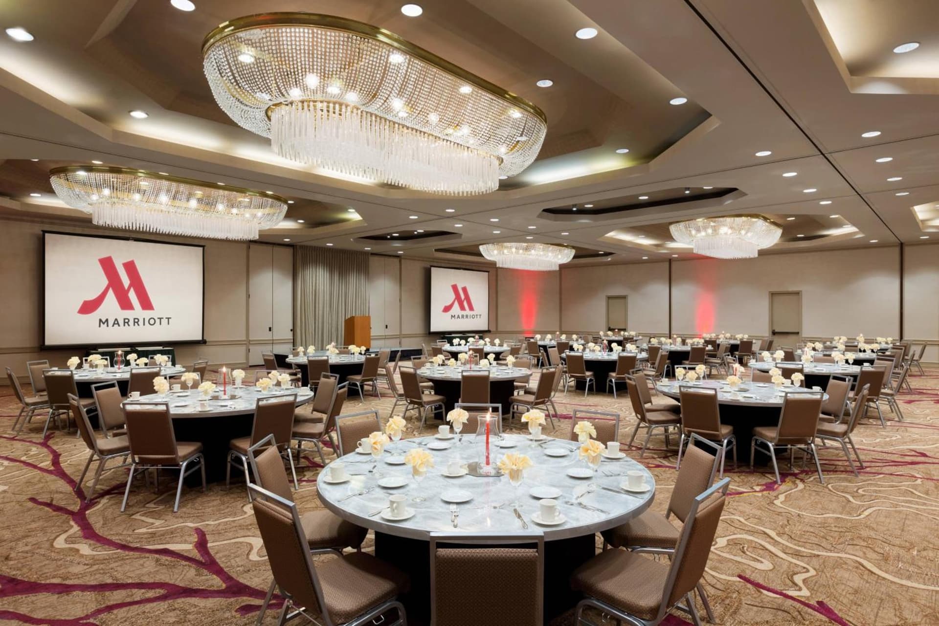 Walnut Creek Marriott gallery photo in Walnut Creek, CA — image 39