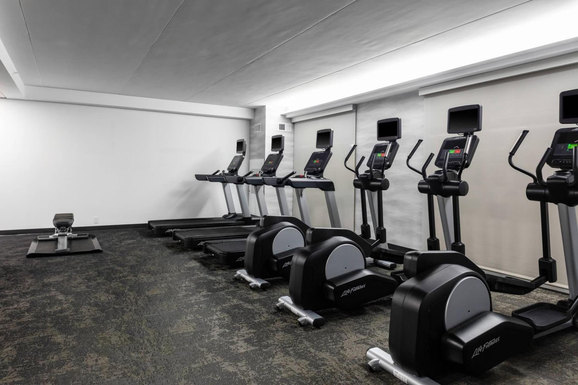 Fairfield Inn & Suites Springfield Enfield gallery photo in Springfield, MA — image 4