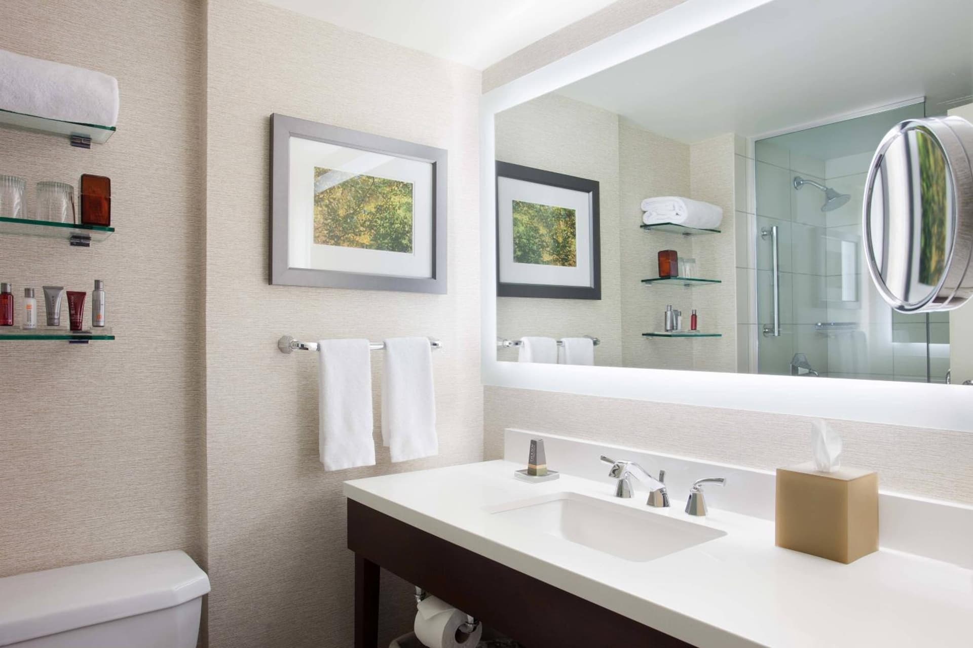 Tampa Airport Marriott gallery photo in Tampa, FL — image 17