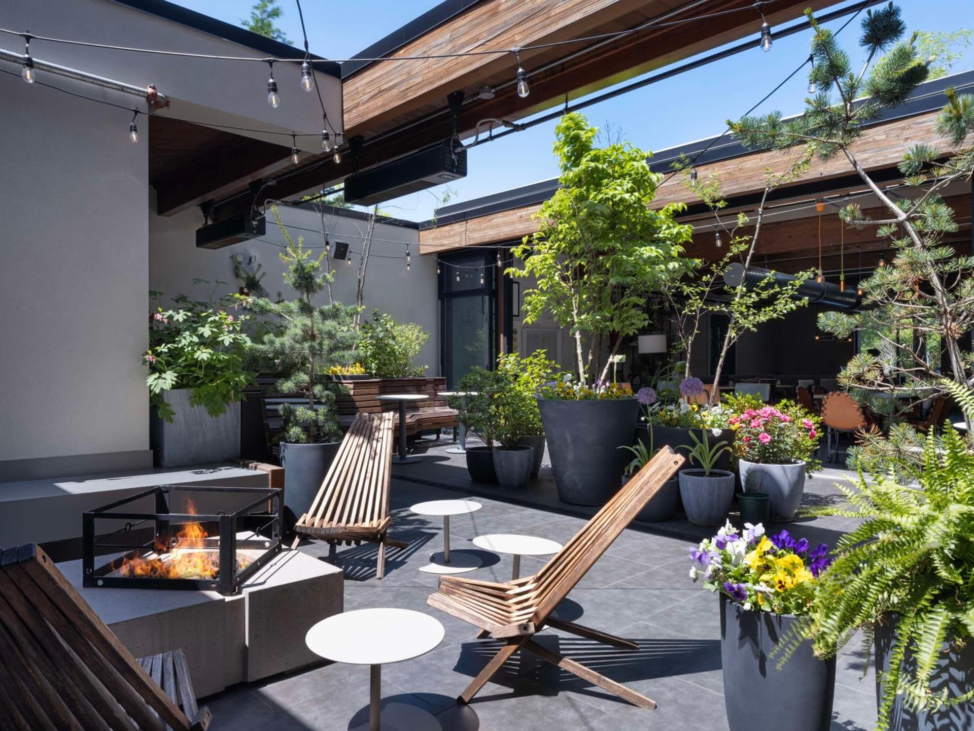 Freepoint Hotel Cambridge, Tapestry Collection by Hilton gallery photo in Cambridge, MA — image 18