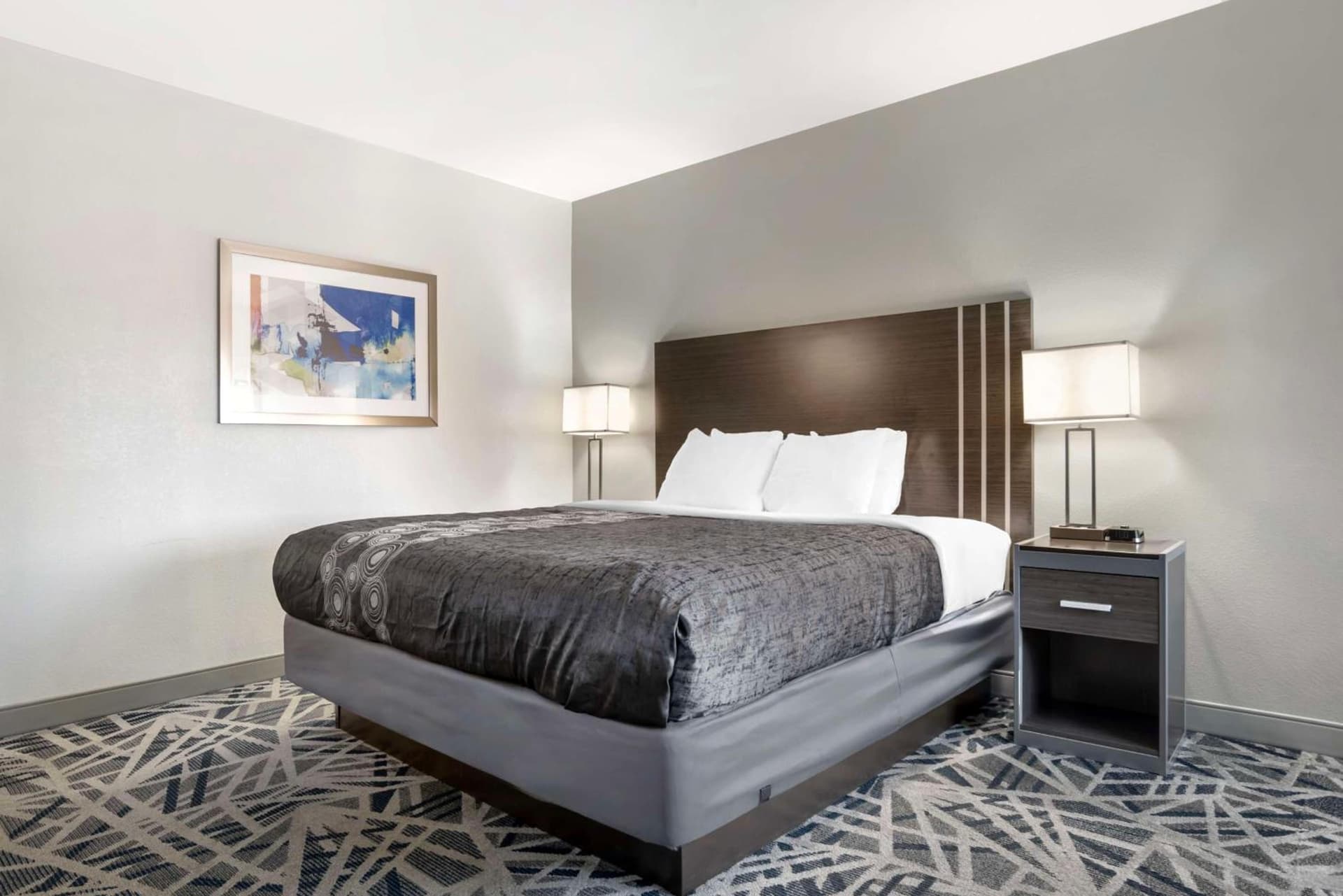 Country Inn & Suites by Radisson, Montgomery East I-85 gallery photo in Montgomery, AL — image 13