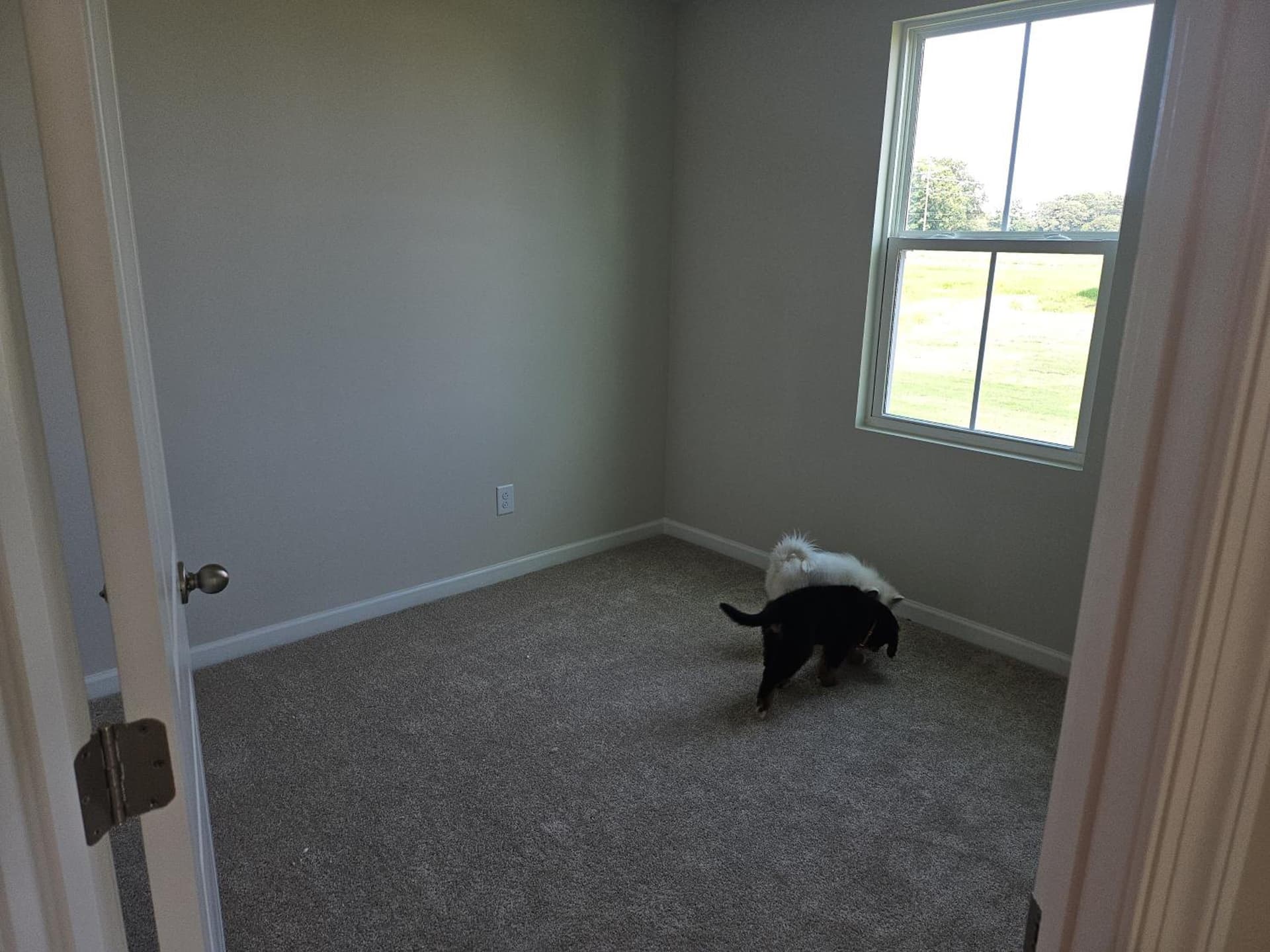 Farm style property views in Mount Pleasant — gallery photo 3
