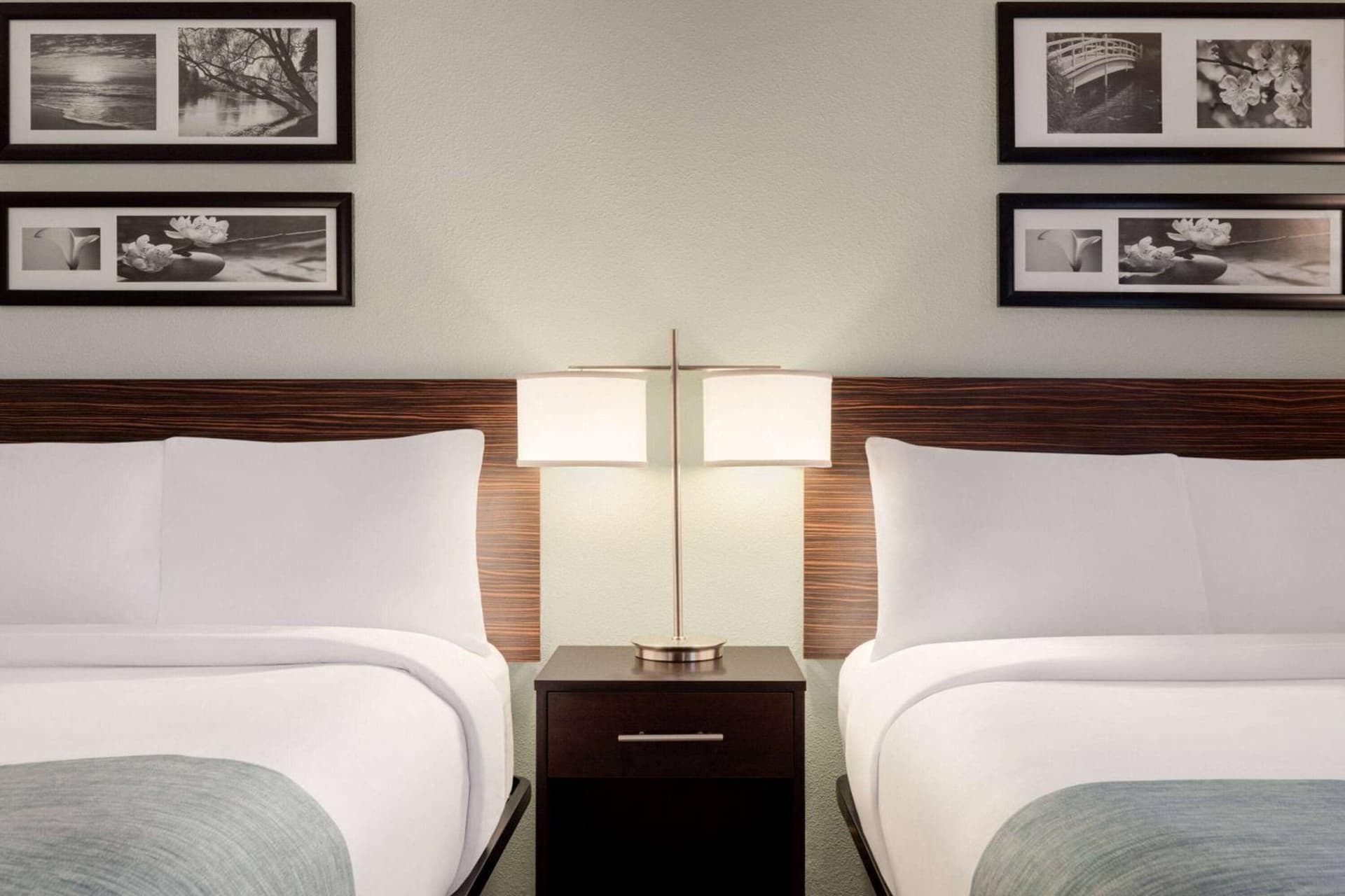 Wingate by Wyndham Salisbury MD Airport North gallery photo in Salisbury, MD — image 58