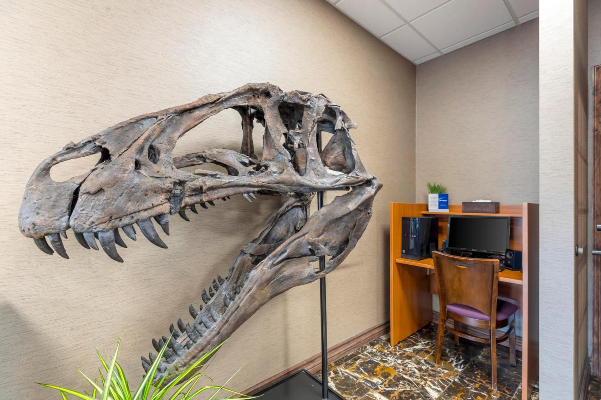 Best Western Denver Southwest gallery photo in Lakewood, CO — image 111