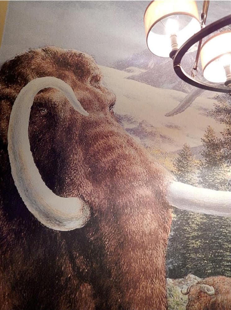 Best Western Denver Southwest gallery photo in Lakewood, CO — image 31