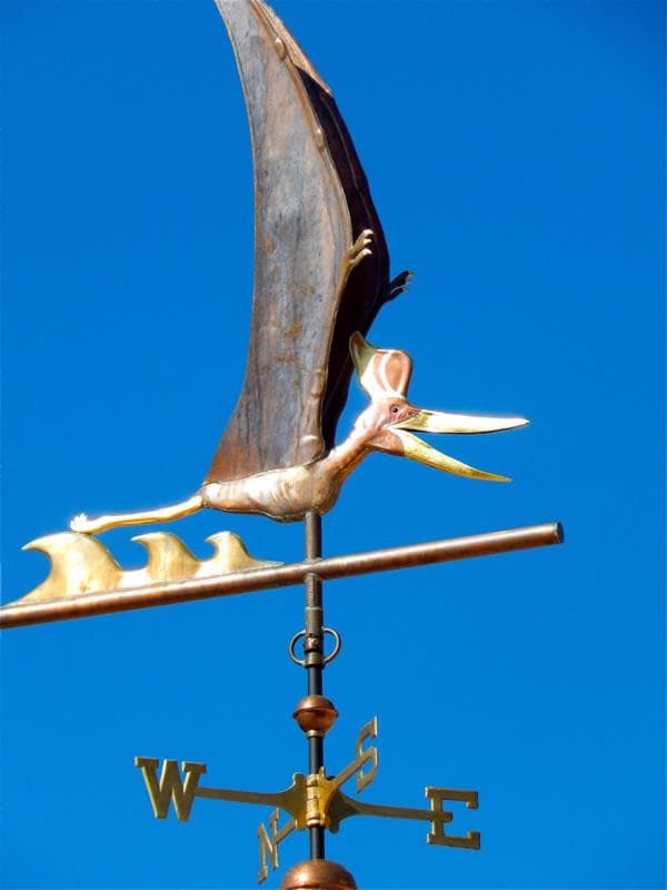 Best Western Denver Southwest gallery photo in Lakewood, CO — image 112