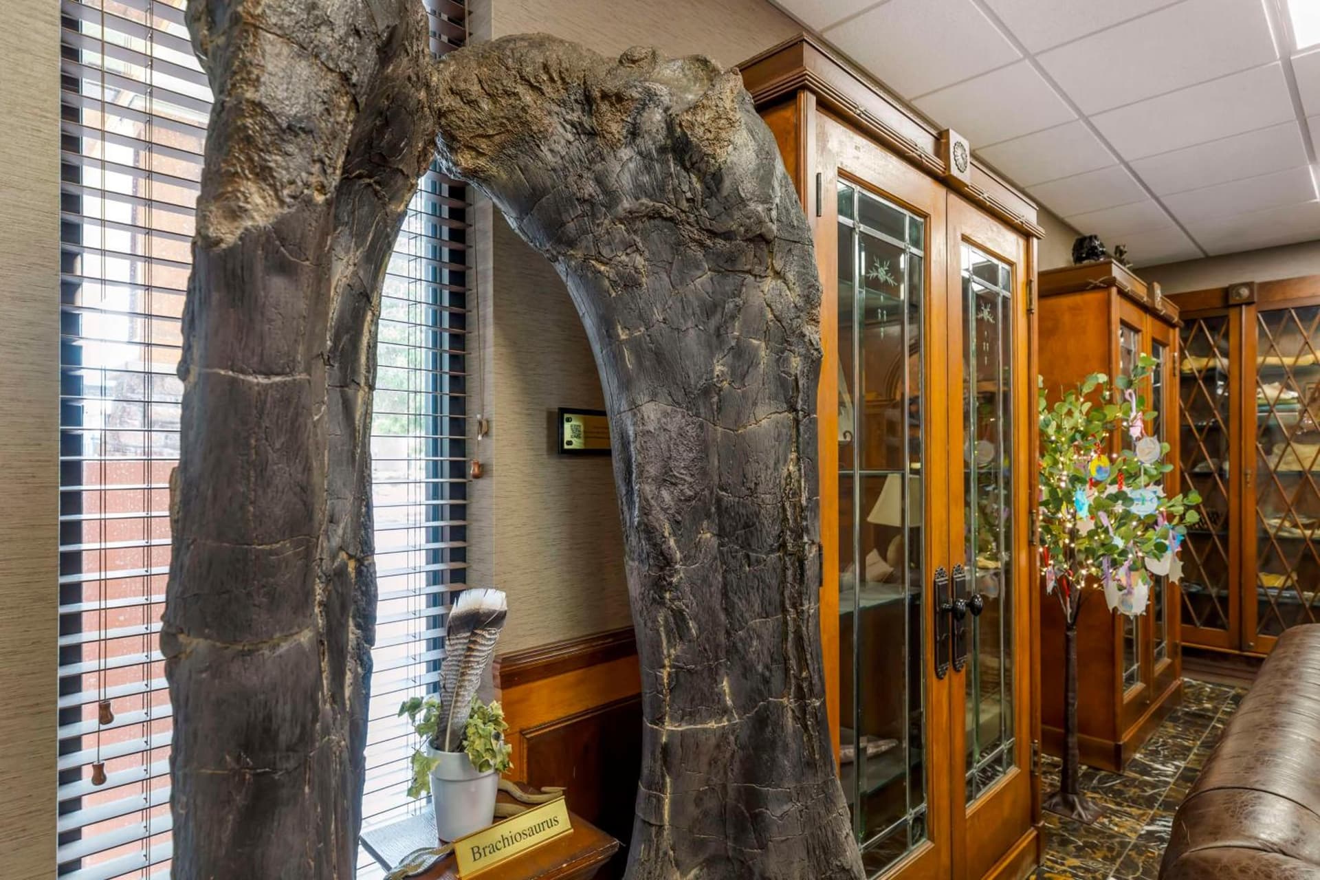 Best Western Denver Southwest gallery photo in Lakewood, CO — image 91