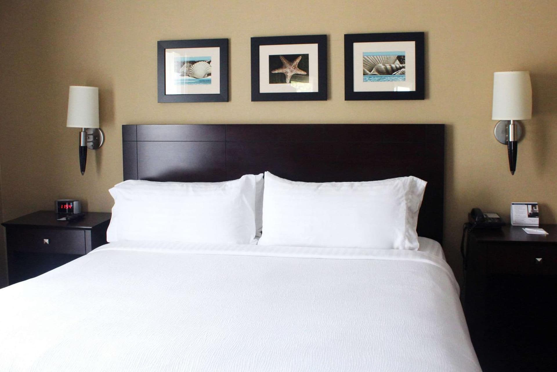 The Volare, an Ascend Collection Hotel gallery photo in San Clemente, CA — image 25