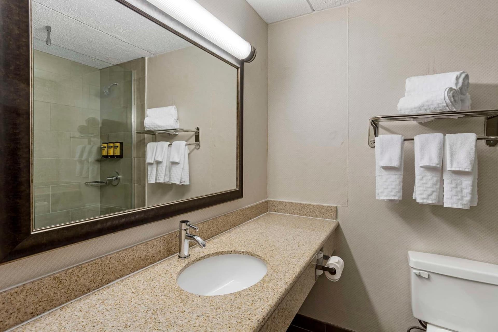 Best Western Plus Kingston Hotel and Conference Center gallery photo in Kingston, NY — image 43