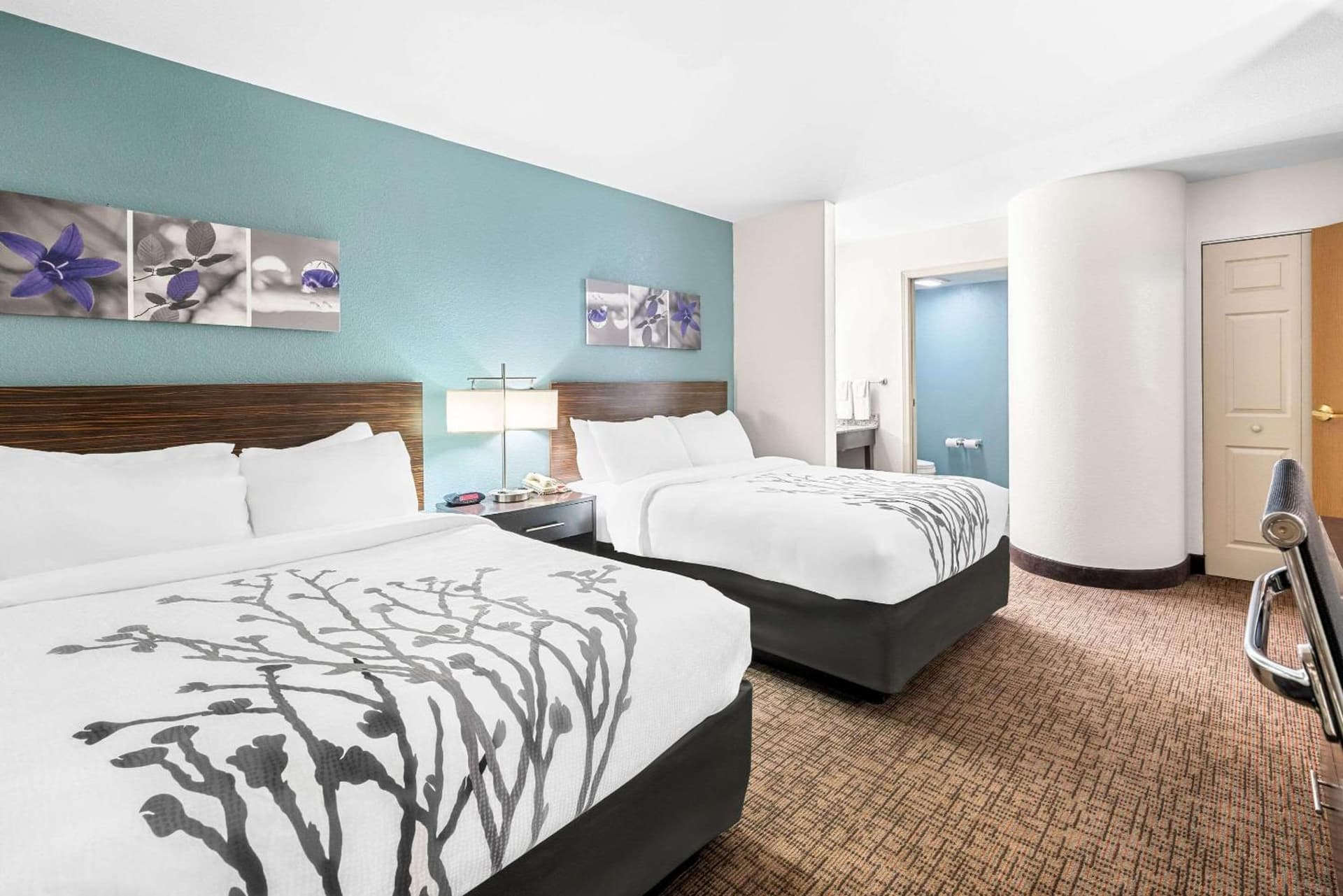 Sleep Inn & Suites Kingsport TriCities Airport property views in Kingsport, TN — gallery photo 3