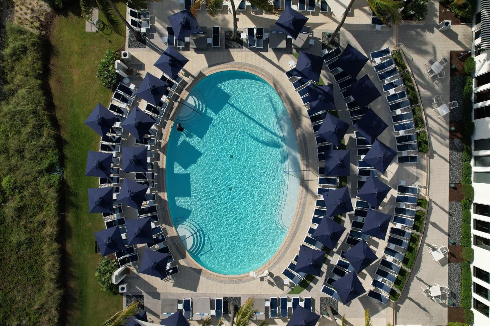 Beach Club at The Boca Raton gallery photo in Boca Raton, FL — image 15