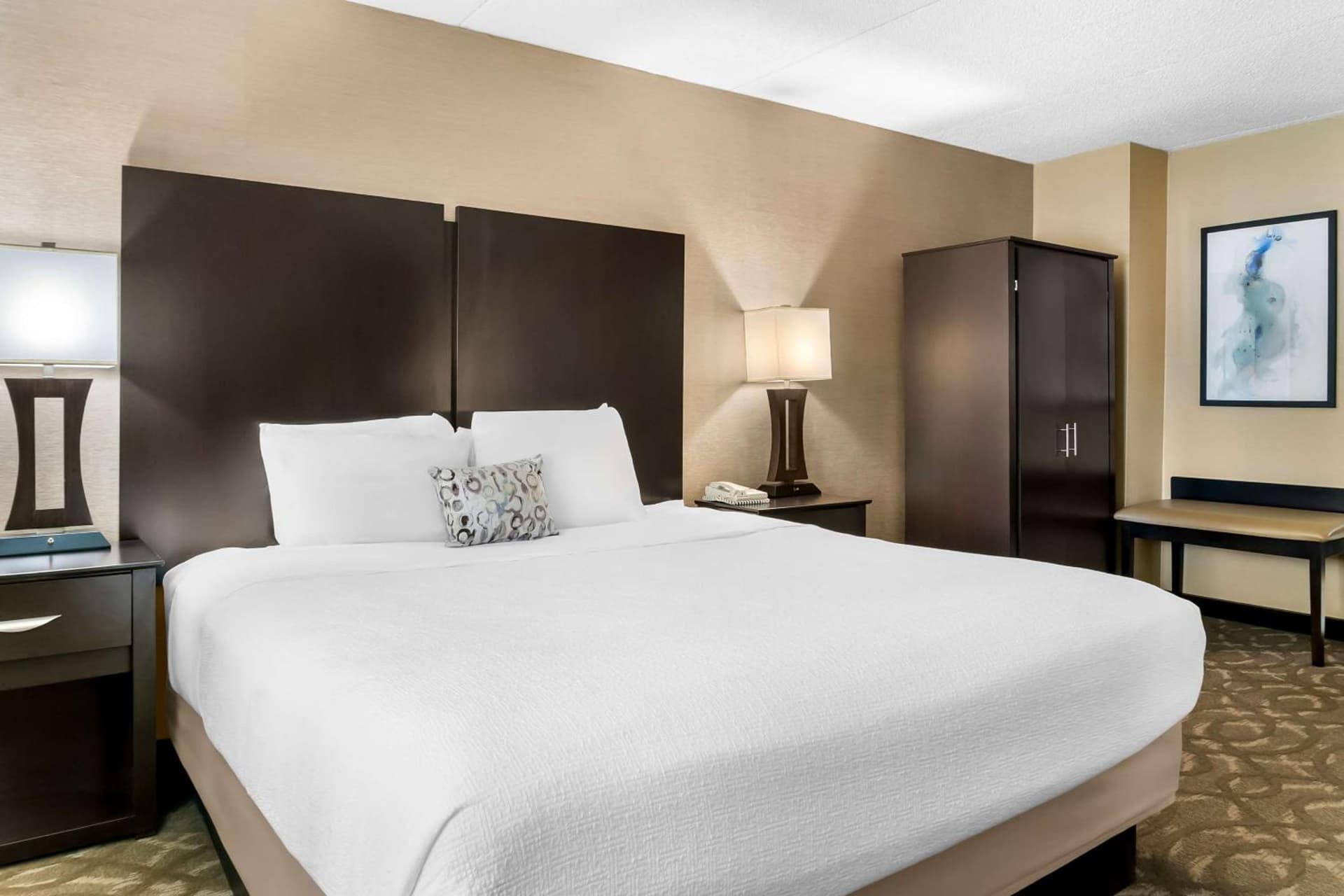 Best Western Okemos/East Lansing Hotel & Suites gallery photo in Okemos, MI — image 36