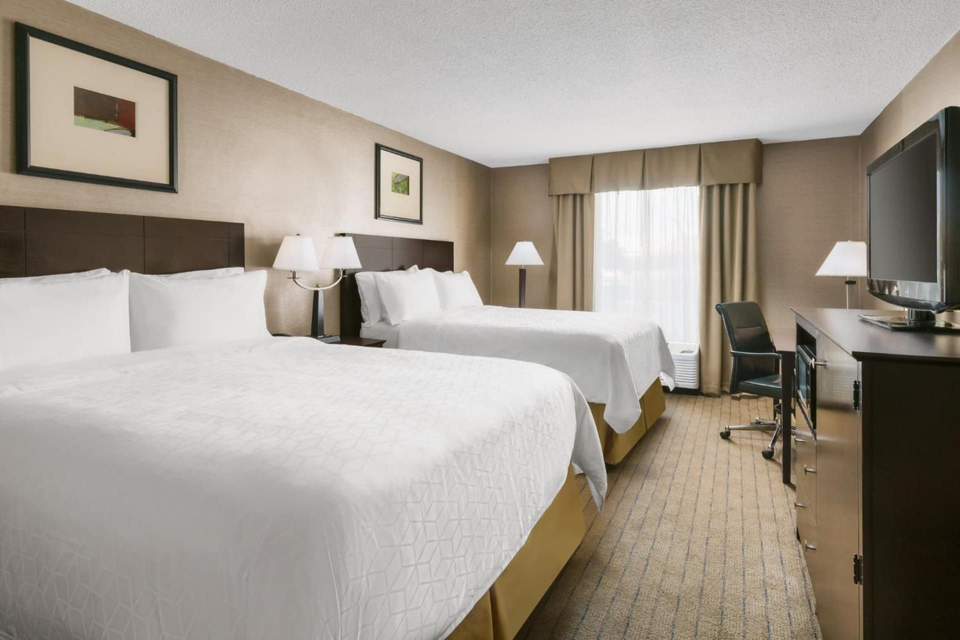 Garner Hotel Brockton - Boston by IHG gallery photo in Brockton, MA — image 30