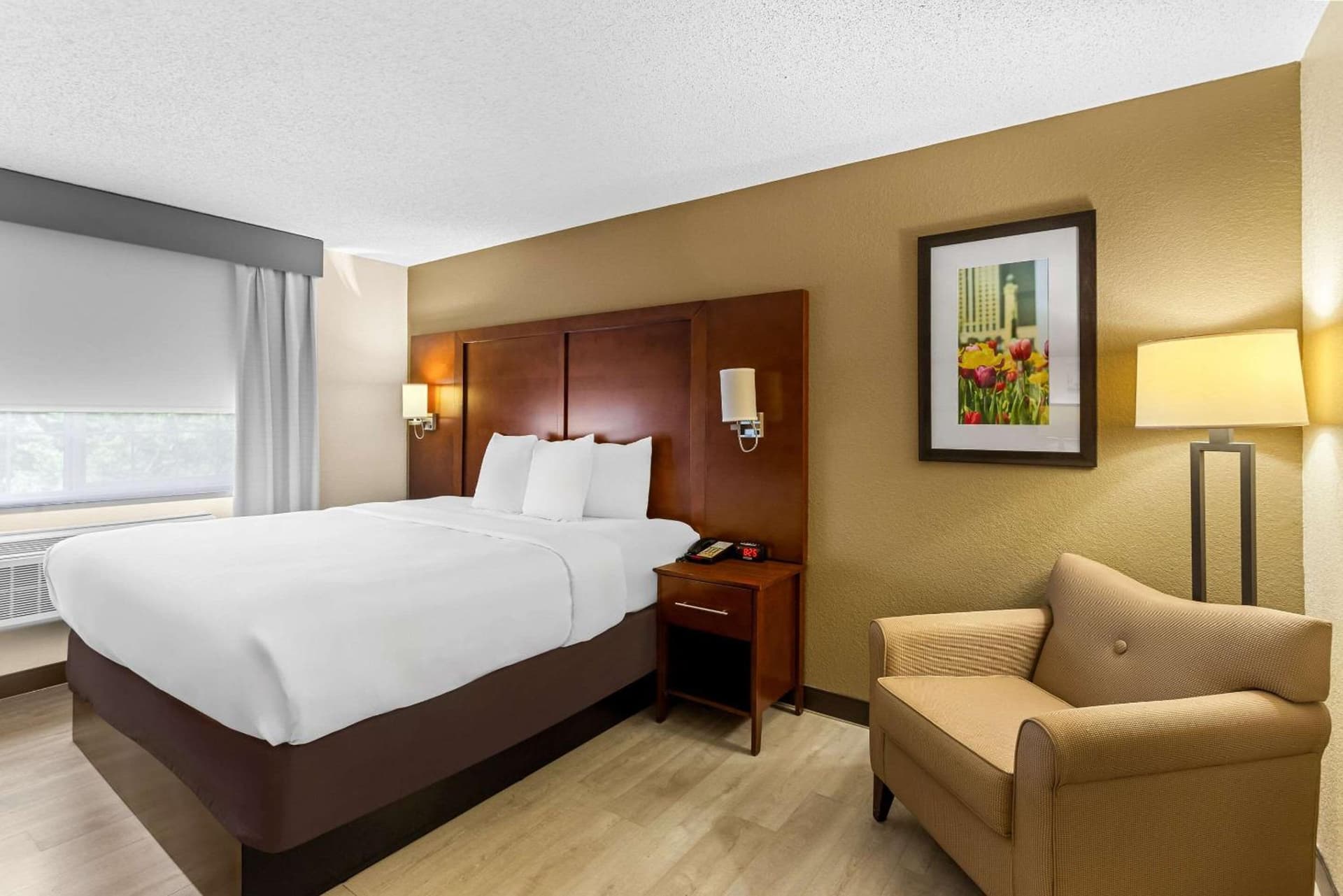 Comfort Suites Grayslake near Libertyville North gallery photo in Grayslake, IL — image 11