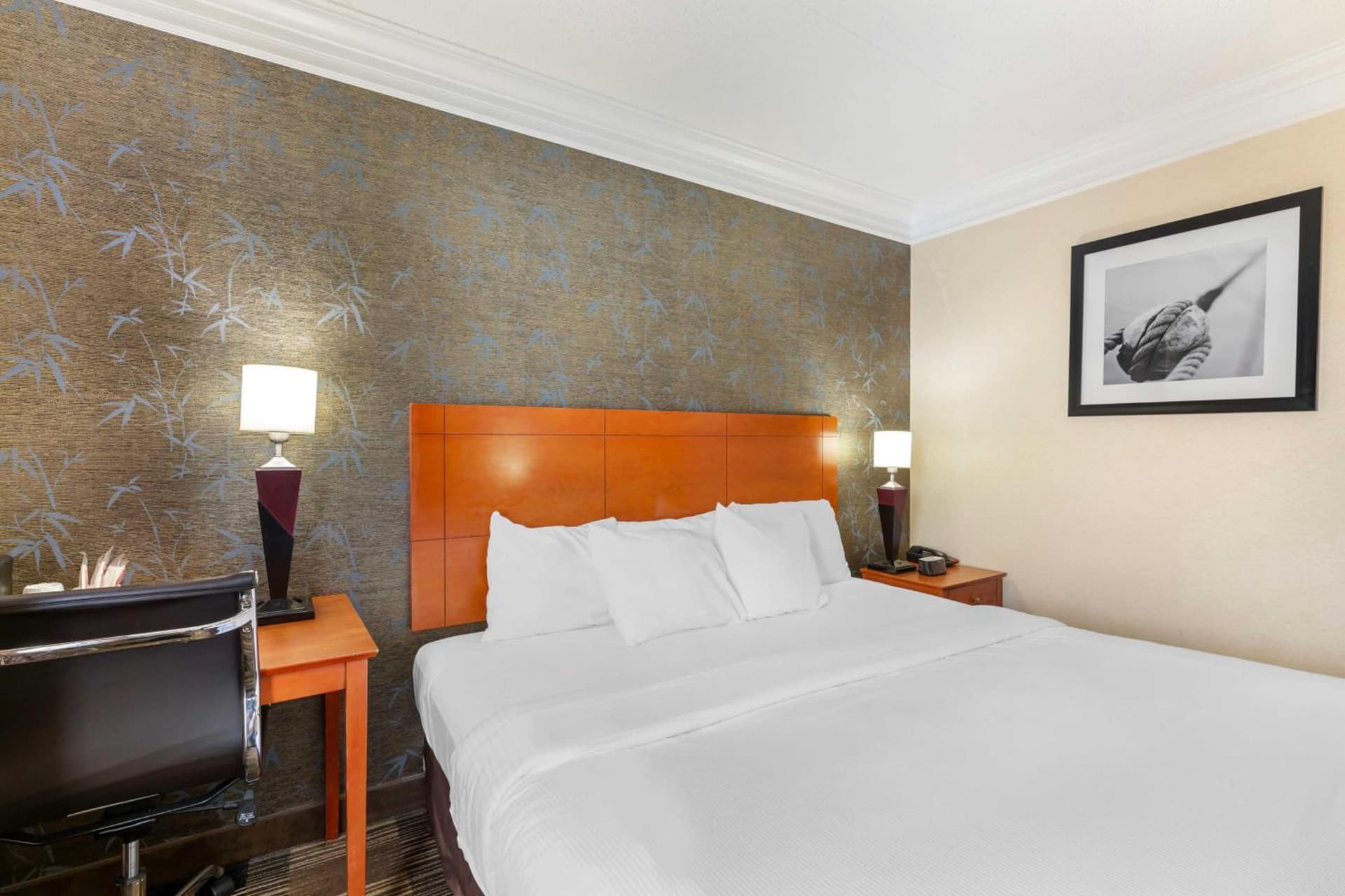 Best Western Inn at the Rochester Airport gallery photo in Rochester, NY — image 25
