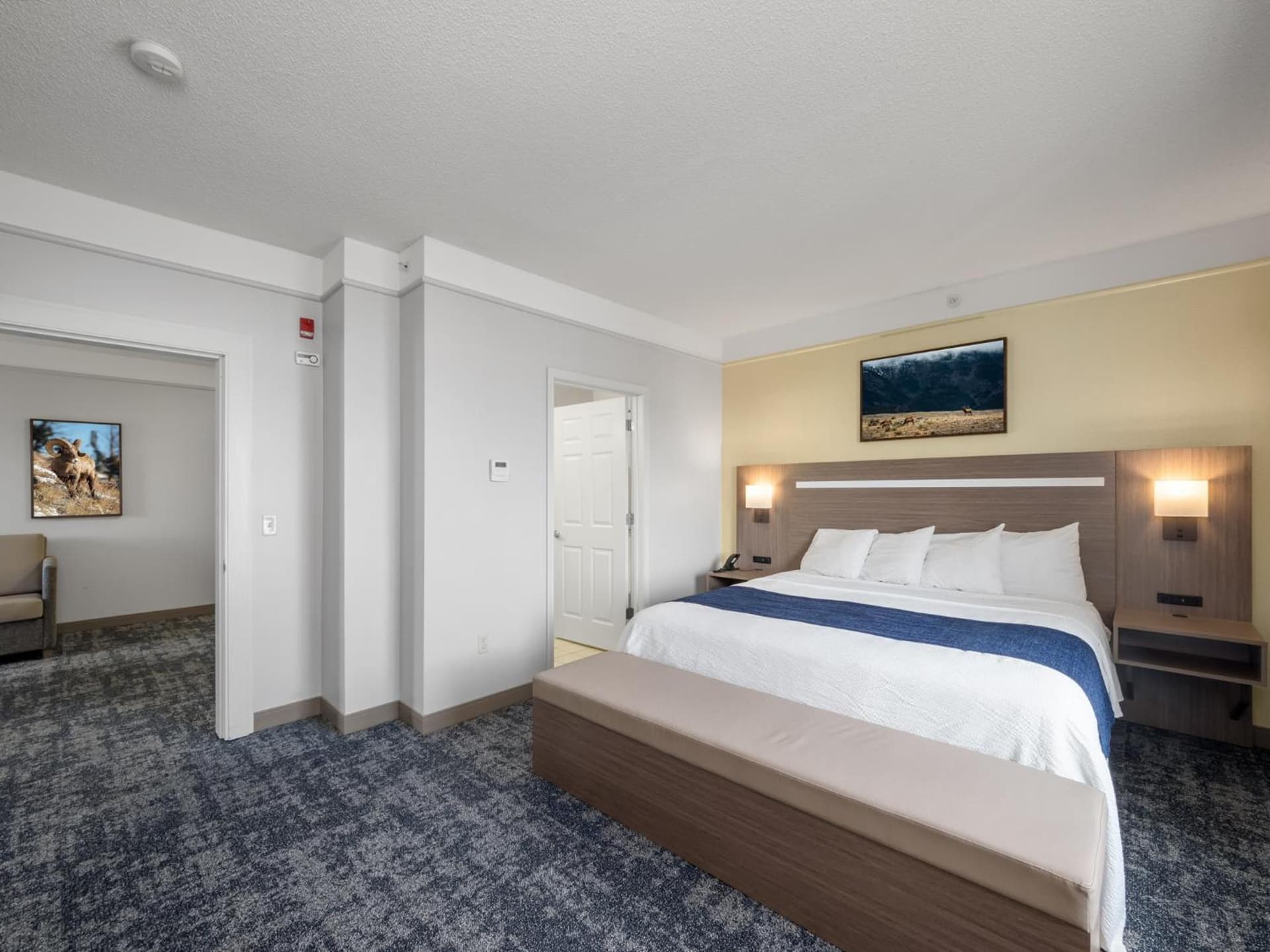 SureStay Plus Hotel by Best Western Billings gallery photo in Billings, MT — image 90