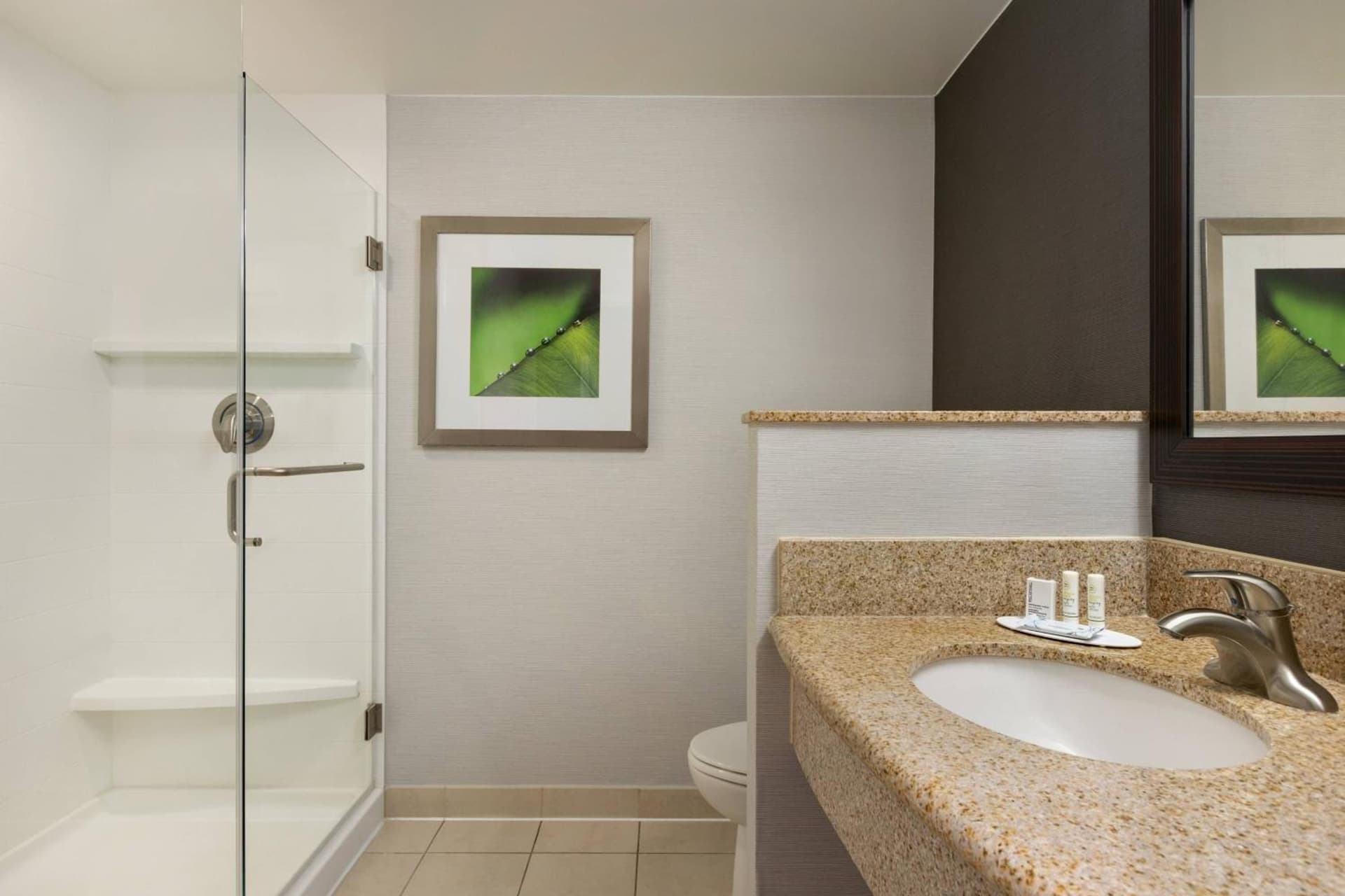 Courtyard Marriott Greenville gallery photo in Greenville, NC — image 12