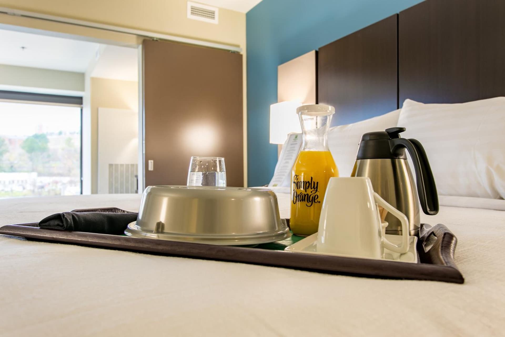 Holiday Inn Hotel & Suites Chattanooga by IHG property views in Chattanooga, TN — gallery photo 3