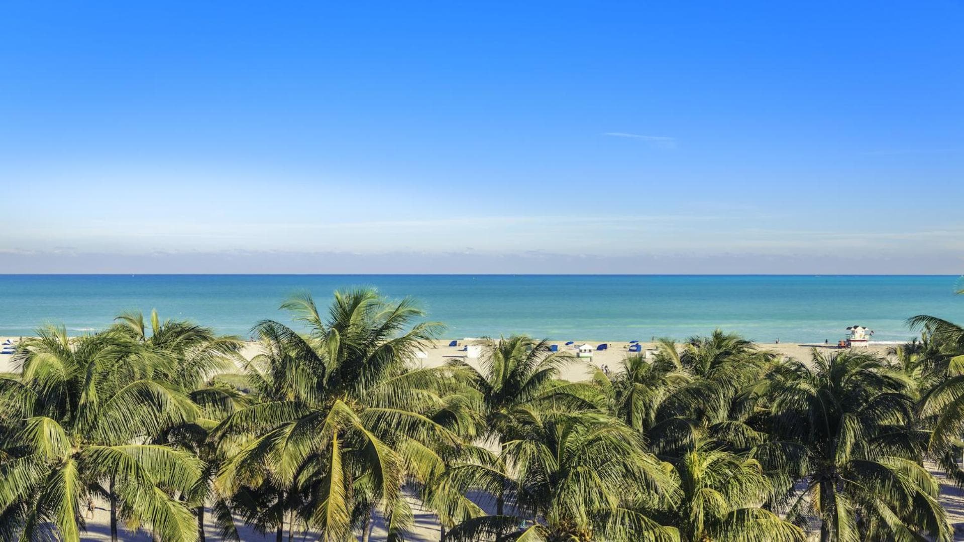 2 Bedroom Private Residence at Carillon Miami Resort -522 property views in Miami Beach, FL — gallery photo 3