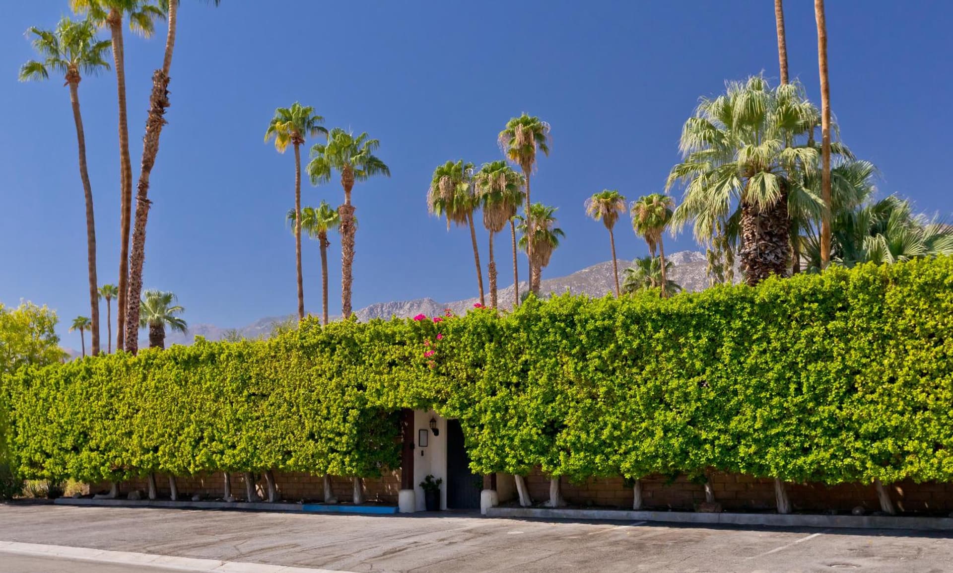 La Maison Hotel - Adults Only gallery photo in Palm Springs, CA — image 18