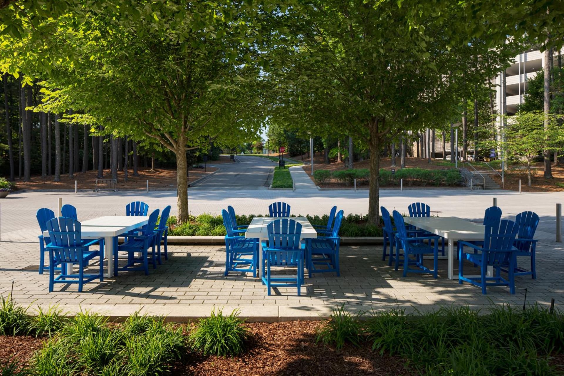 JB Duke Hotel gallery photo in Durham, NC — image 33