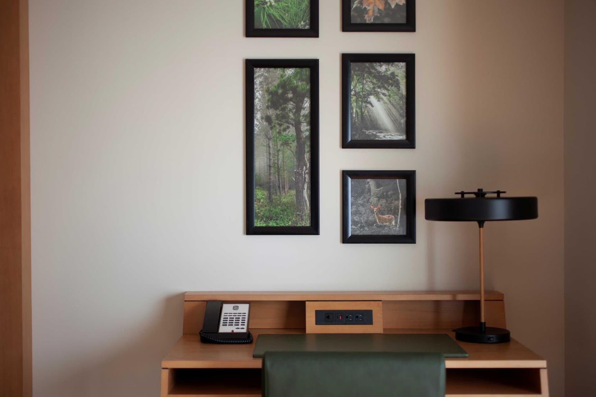 The Swiftwater gallery photo in Swiftwater — image 30