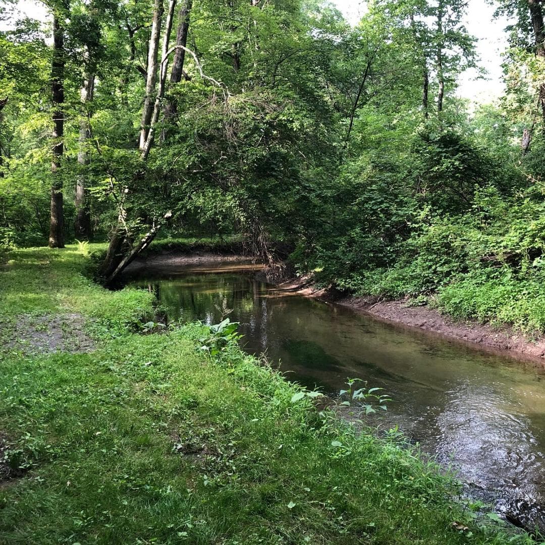 Fenced Yard Chalets from Good Dog Vacations at Big Valley Resort property views in Sciota — gallery photo 3