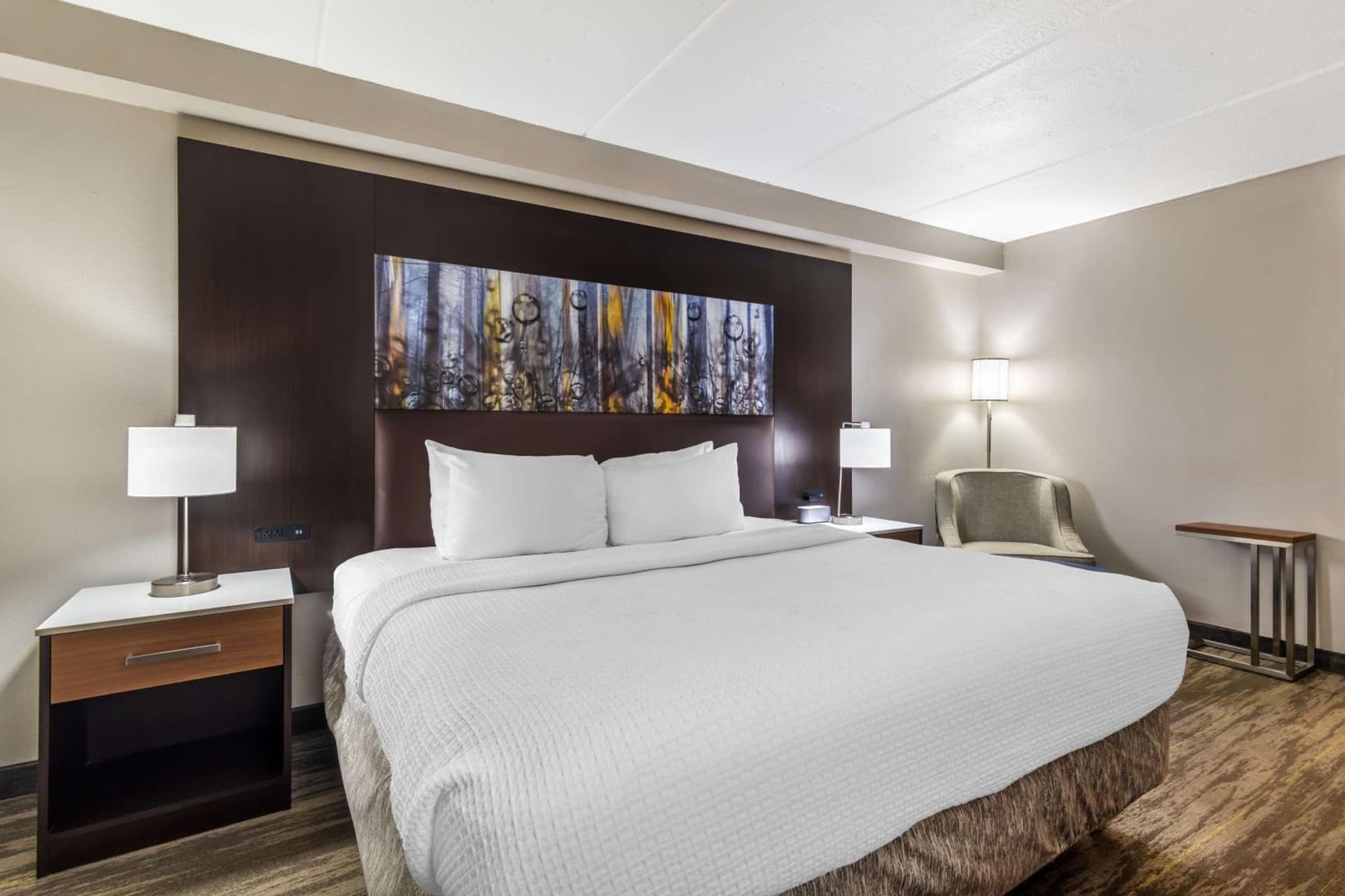 Best Western Atlanta-Marietta Ballpark Hotel gallery photo in Atlanta, GA — image 8