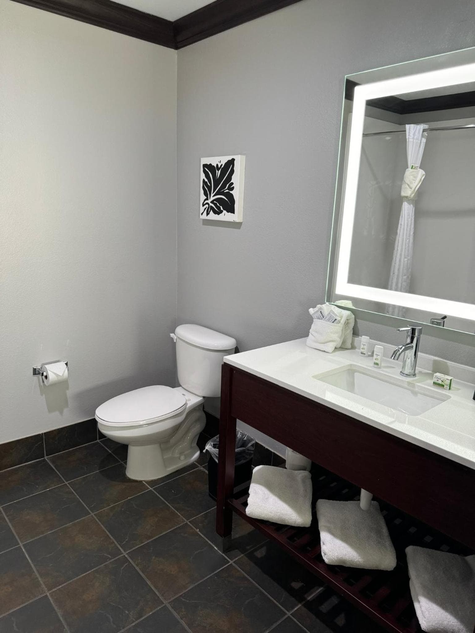 Hawthorn Suites by Wyndham Lubbock gallery photo in Lubbock, TX — image 46