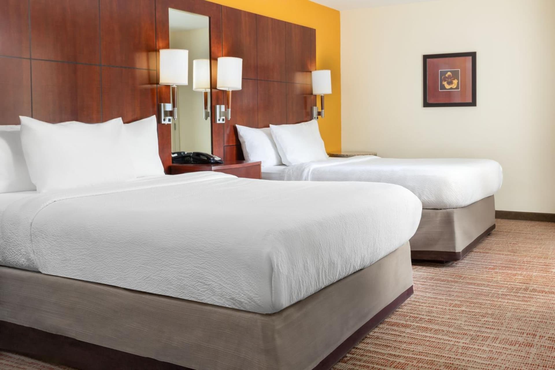 Residence Inn by Marriott Fredericksburg gallery photo in Fredericksburg, VA — image 16
