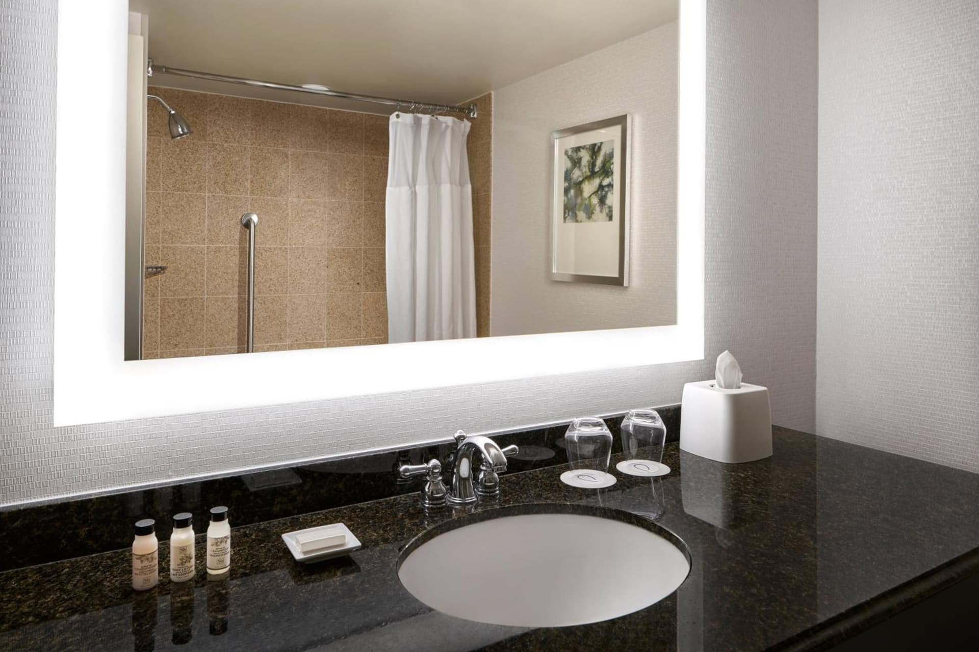 Delta Hotels by Marriott Chesapeake Norfolk gallery photo in Chesapeake, VA — image 5