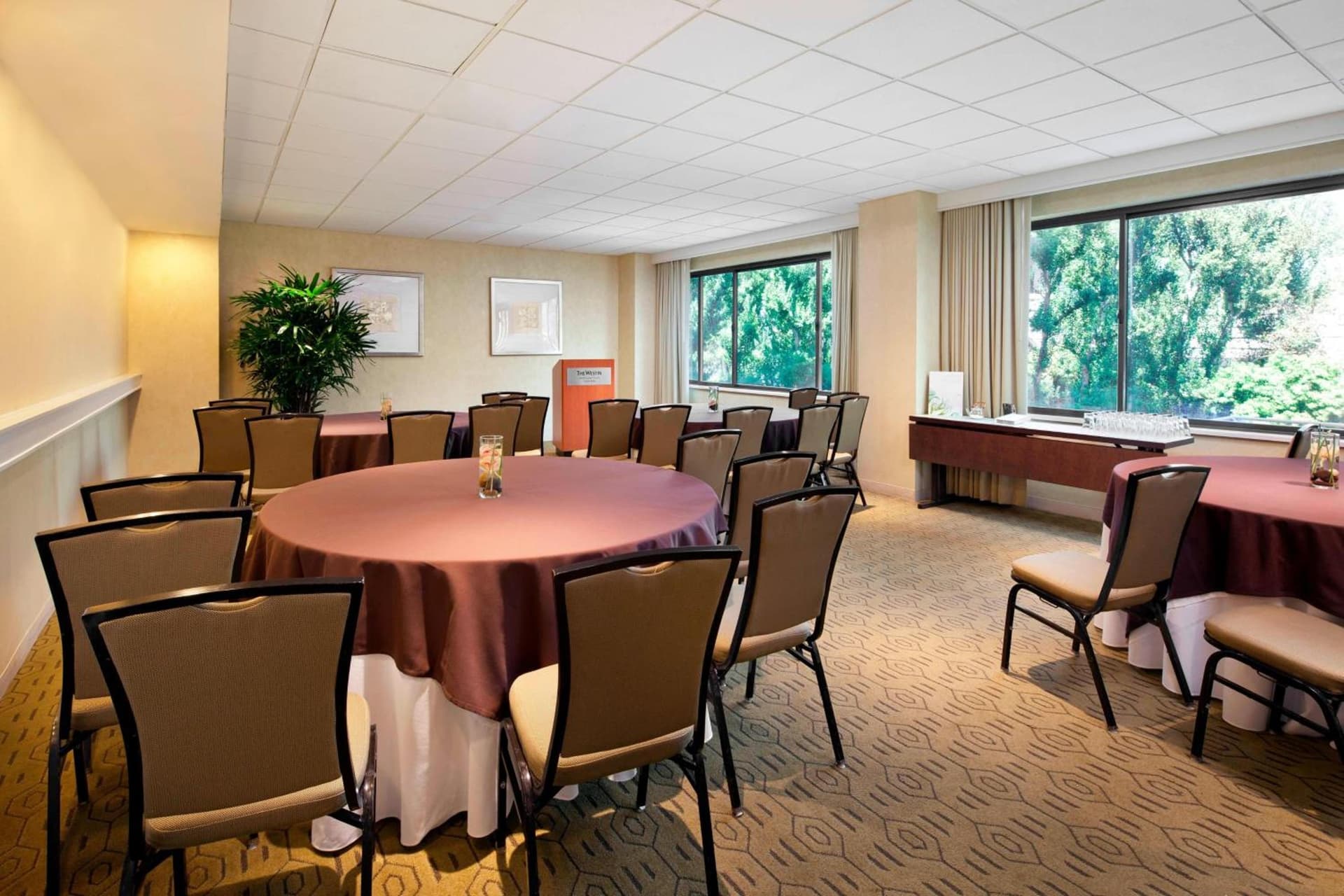 The Westin South Coast Plaza, Costa Mesa gallery photo in Costa Mesa, CA — image 69