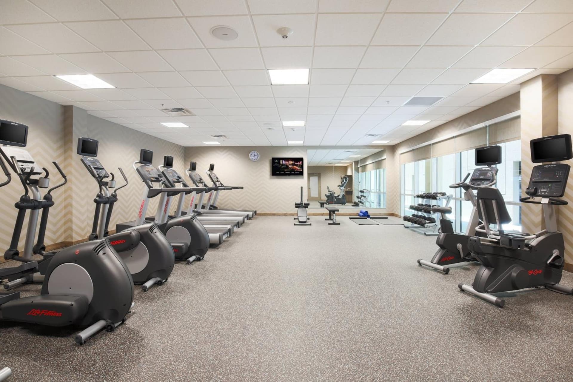 SpringHill Suites by Marriott San Jose Airport gallery photo in San Jose, CA — image 11