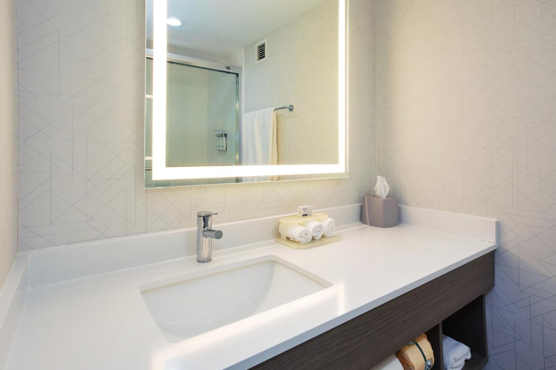 Holiday Inn Express Hotel & Suites Dover by IHG gallery photo in Dover, DE — image 33