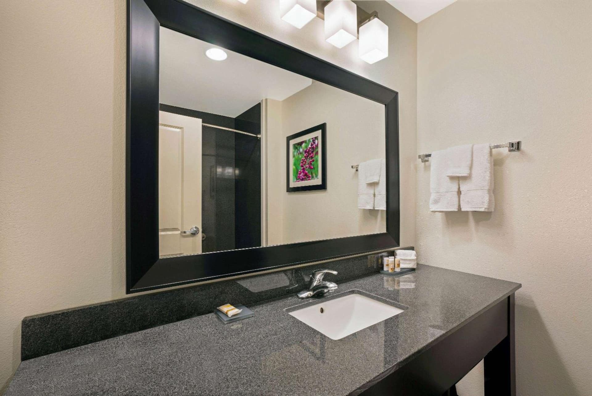 La Quinta by Wyndham Tumwater - Olympia gallery photo in Tumwater, WA — image 21