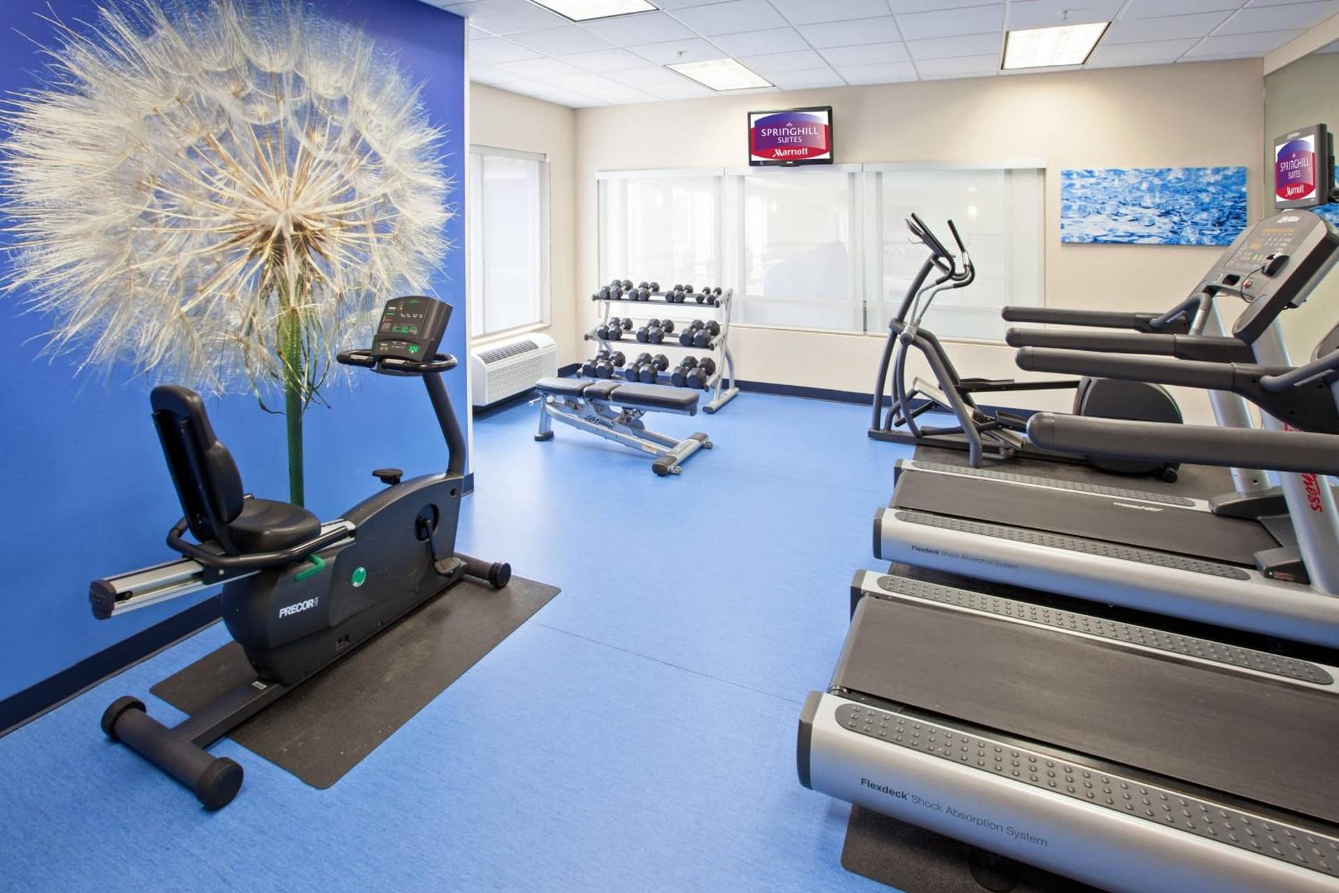 SpringHill Suites Indianapolis Carmel gallery photo in Carmel, IN — image 18