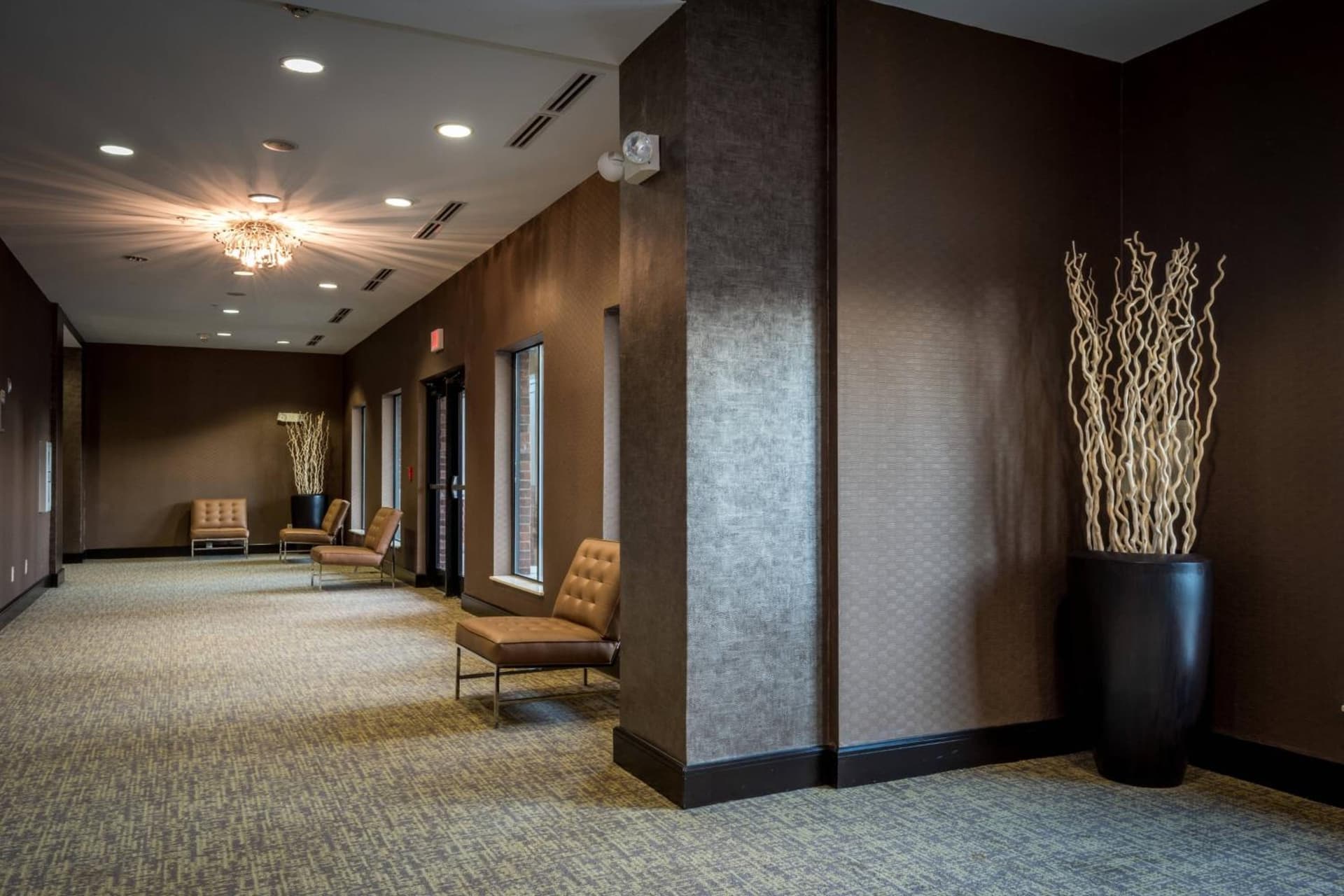 SpringHill Suites by Marriott Denton gallery photo in Denton, TX — image 12
