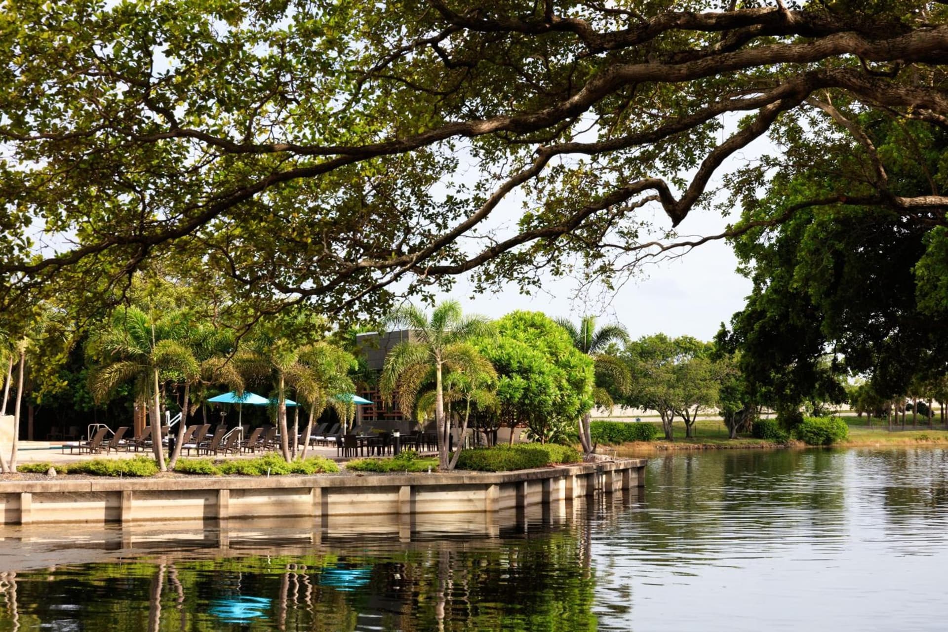 The Westin Fort Lauderdale gallery photo in Fort Lauderdale, FL — image 17