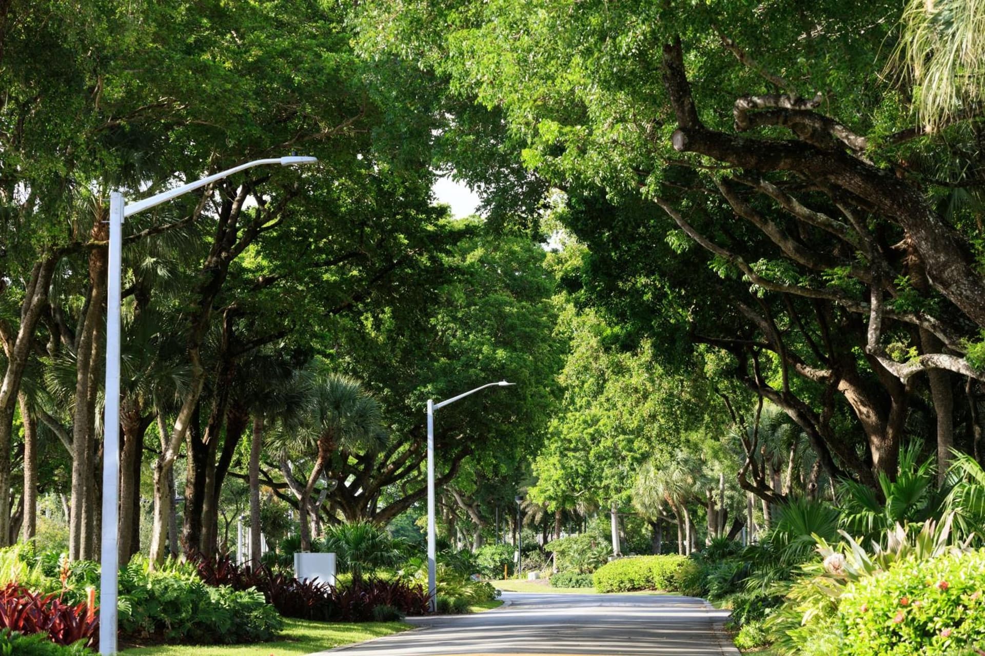 The Westin Fort Lauderdale gallery photo in Fort Lauderdale, FL — image 47
