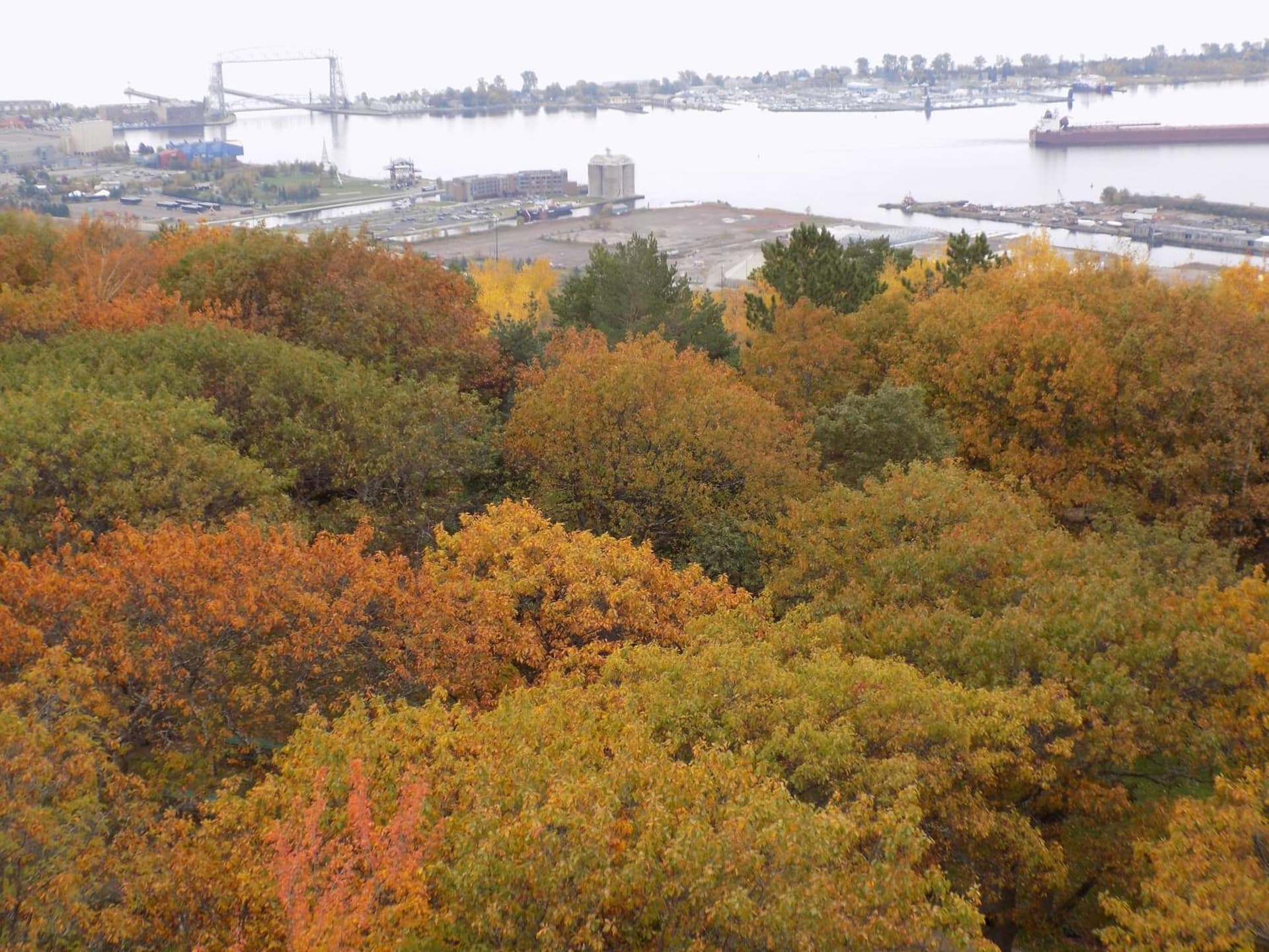 Fairfield Inn & Suites By Marriott Duluth Waterfront gallery photo in Duluth, MN — image 5