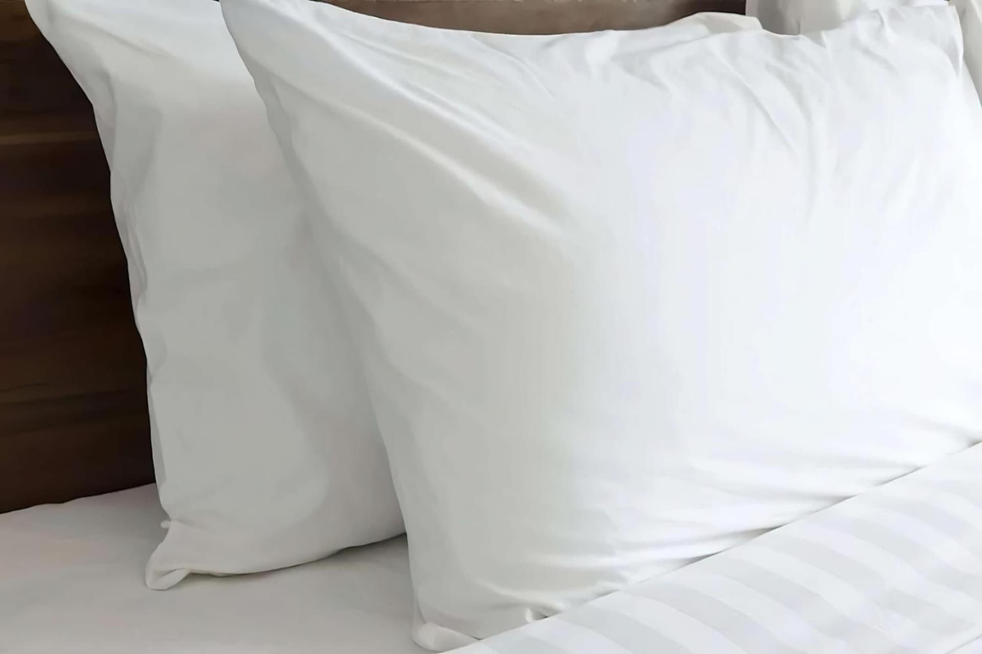 Sonesta ES Suites Raleigh Cary gallery photo in Cary, NC — image 25