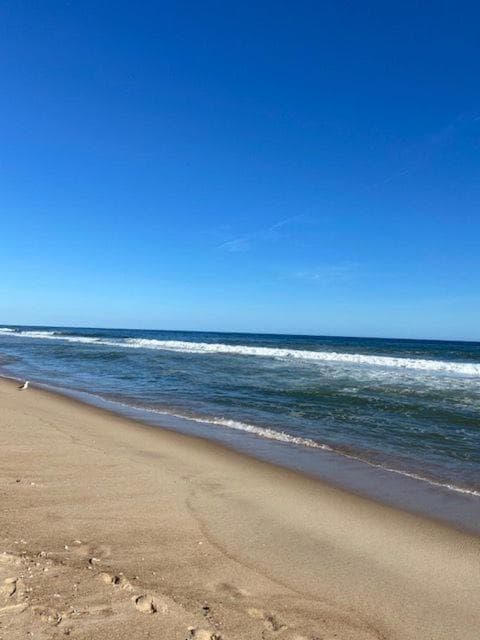 Ocean Vista Resort gallery photo in Amagansett, NY — image 27