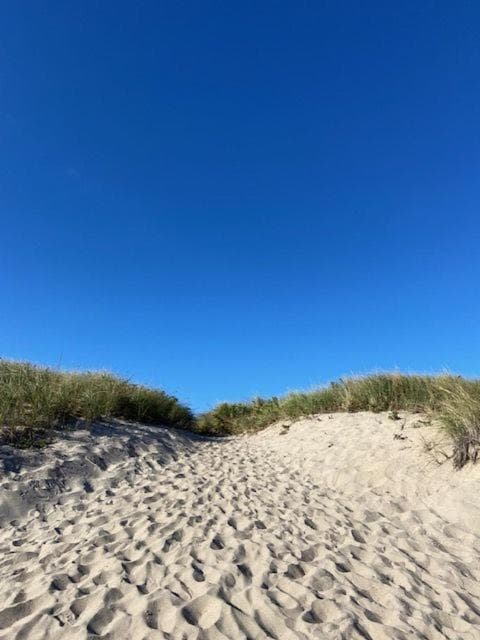 Ocean Vista Resort gallery photo in Amagansett, NY — image 19