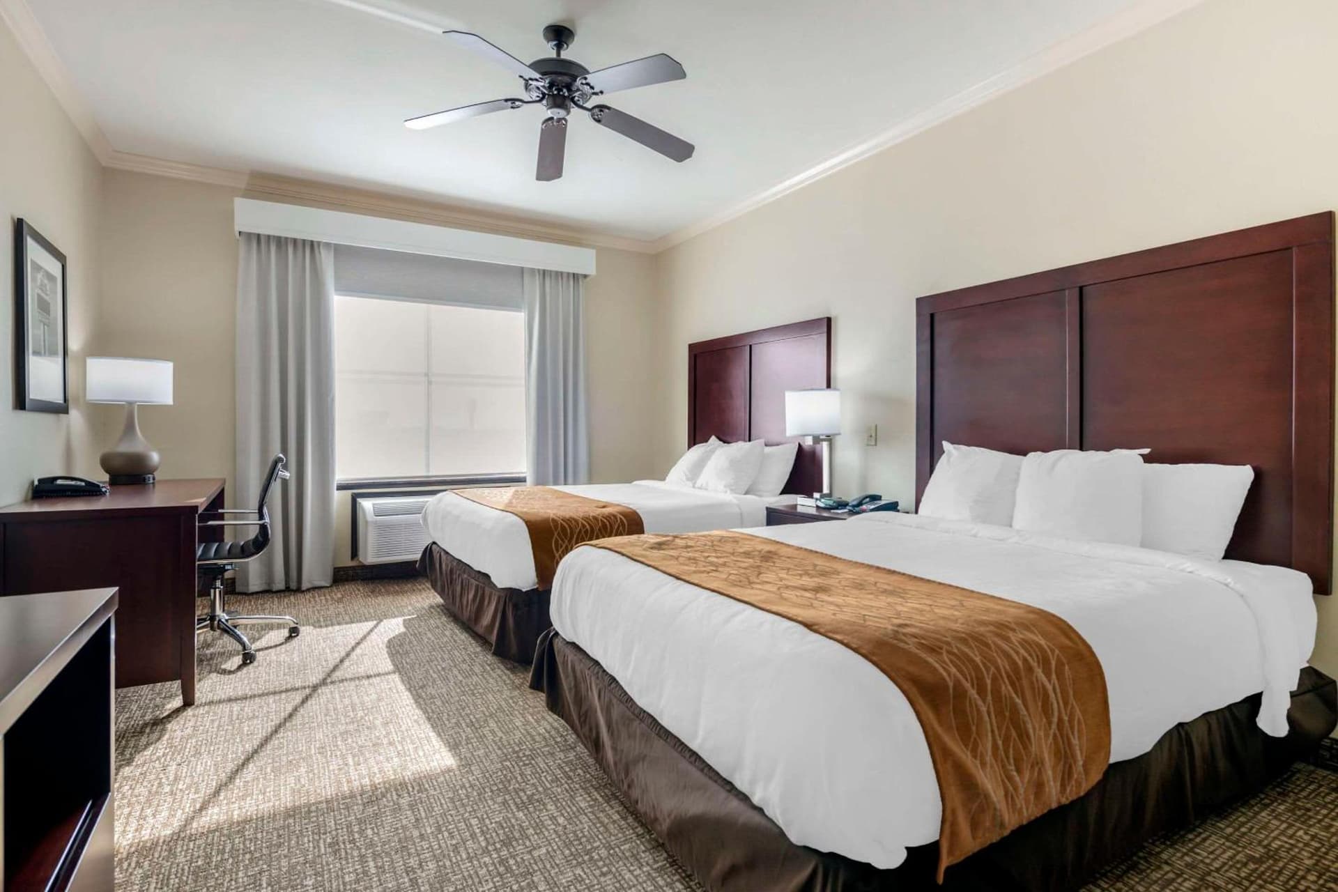 Comfort Inn & Suites Fort Worth - Fossil Creek interior in Fort Worth, TX — gallery photo 2