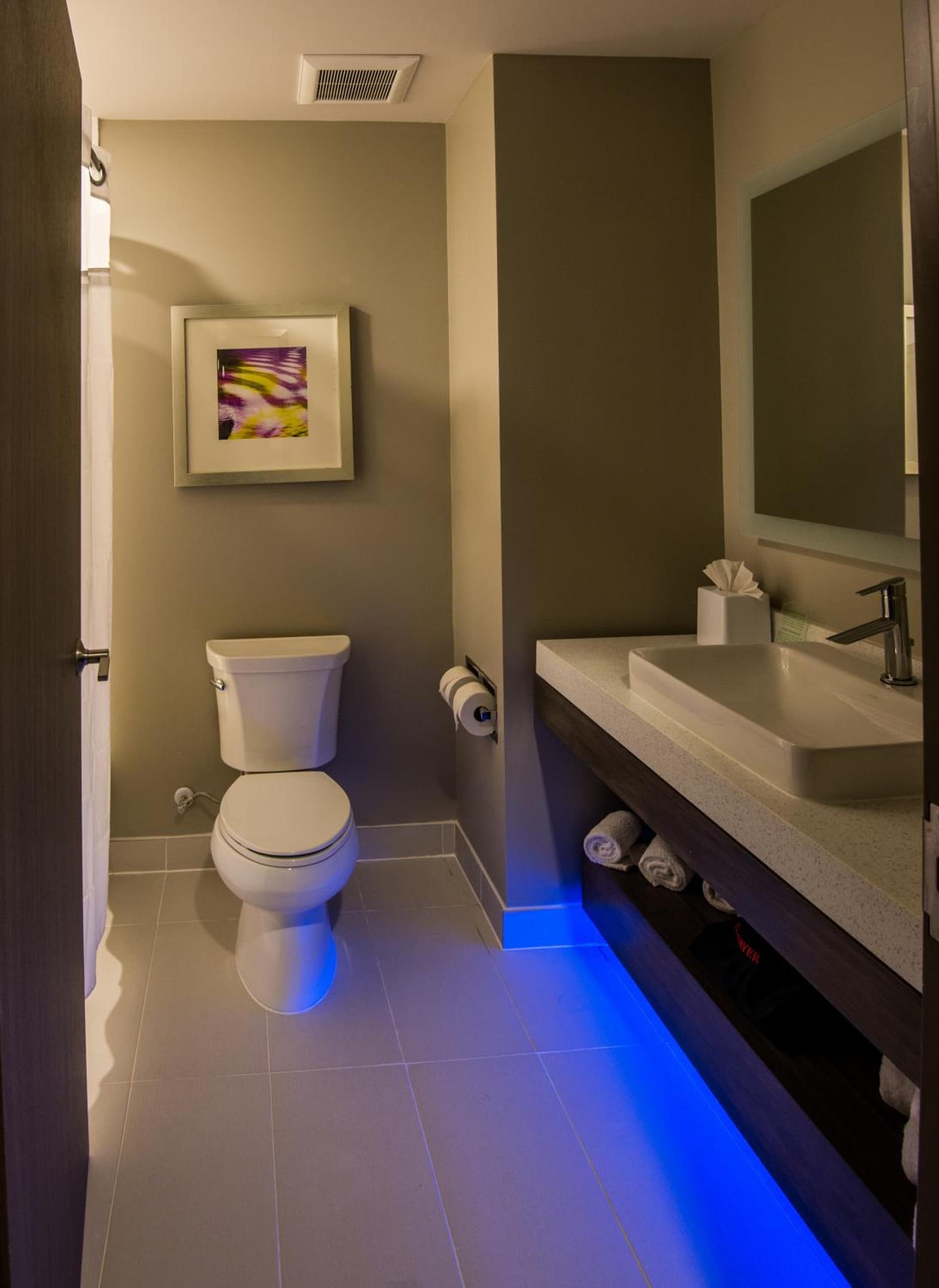 Holiday Inn Express & Suites Garland E - Lake Hubbard I30 by IHG property views in Garland, TX — gallery photo 3