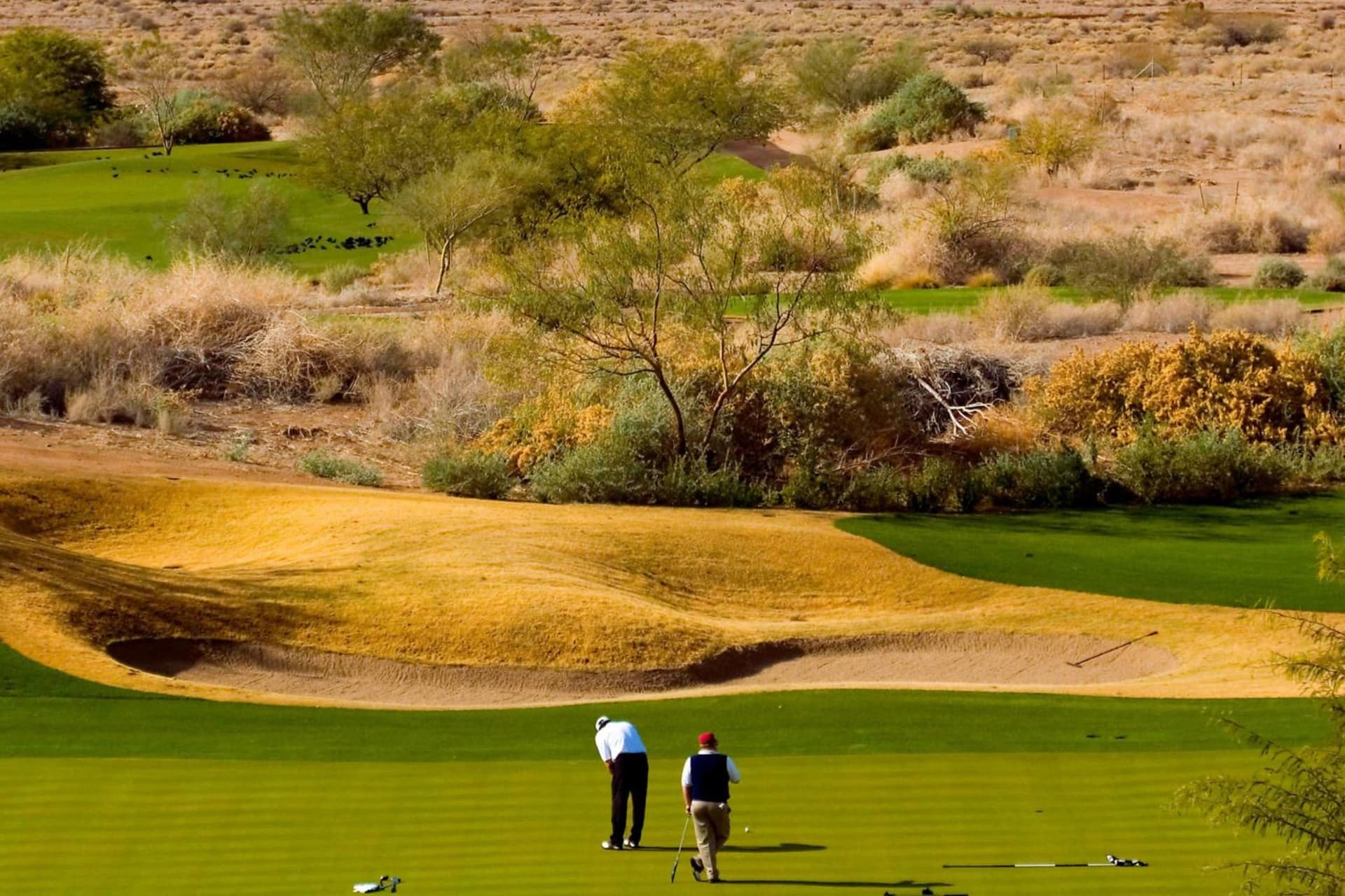 Sheraton Grand at Wild Horse Pass gallery photo in Chandler, AZ — image 41