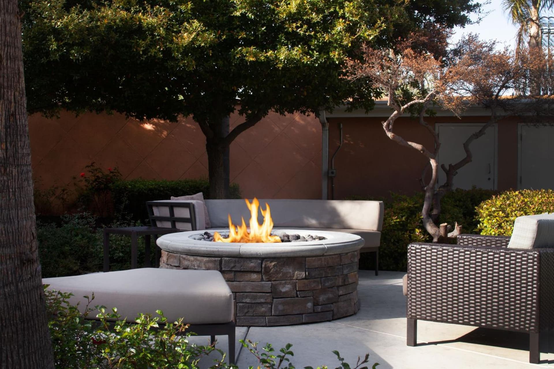 Courtyard by Marriott Oakland Airport gallery photo in Oakland, CA — image 27